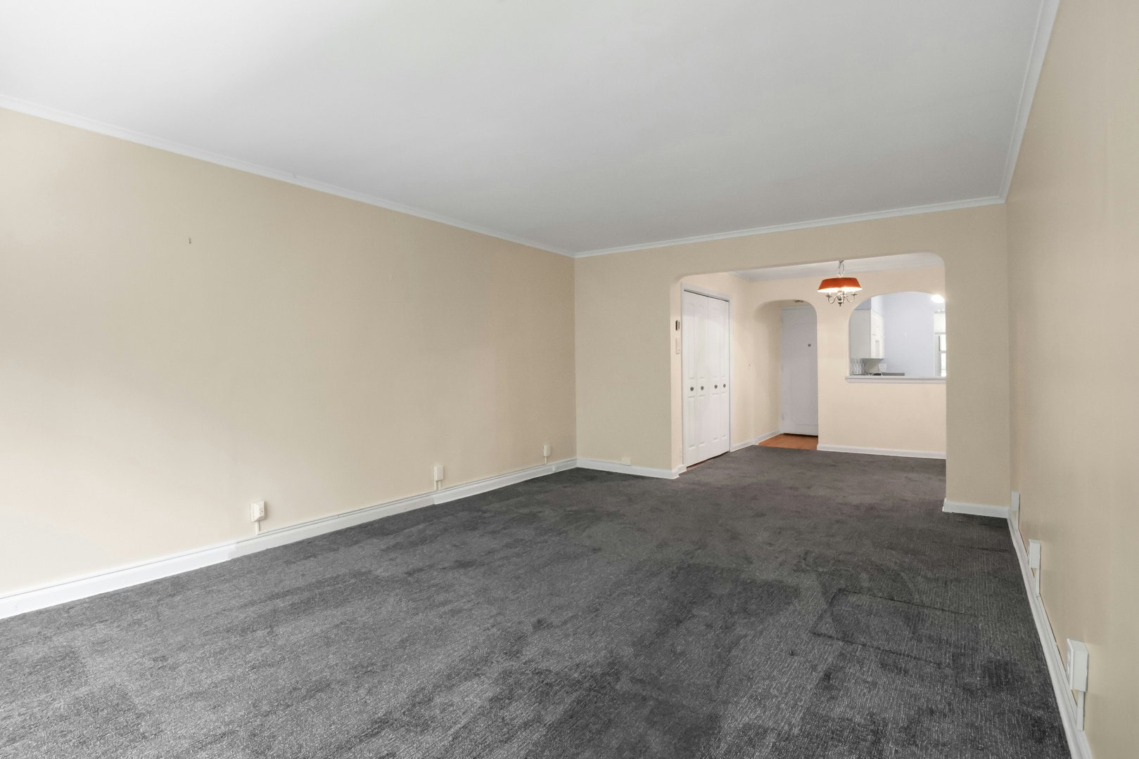 20 Alden Place  #1 Photo 8