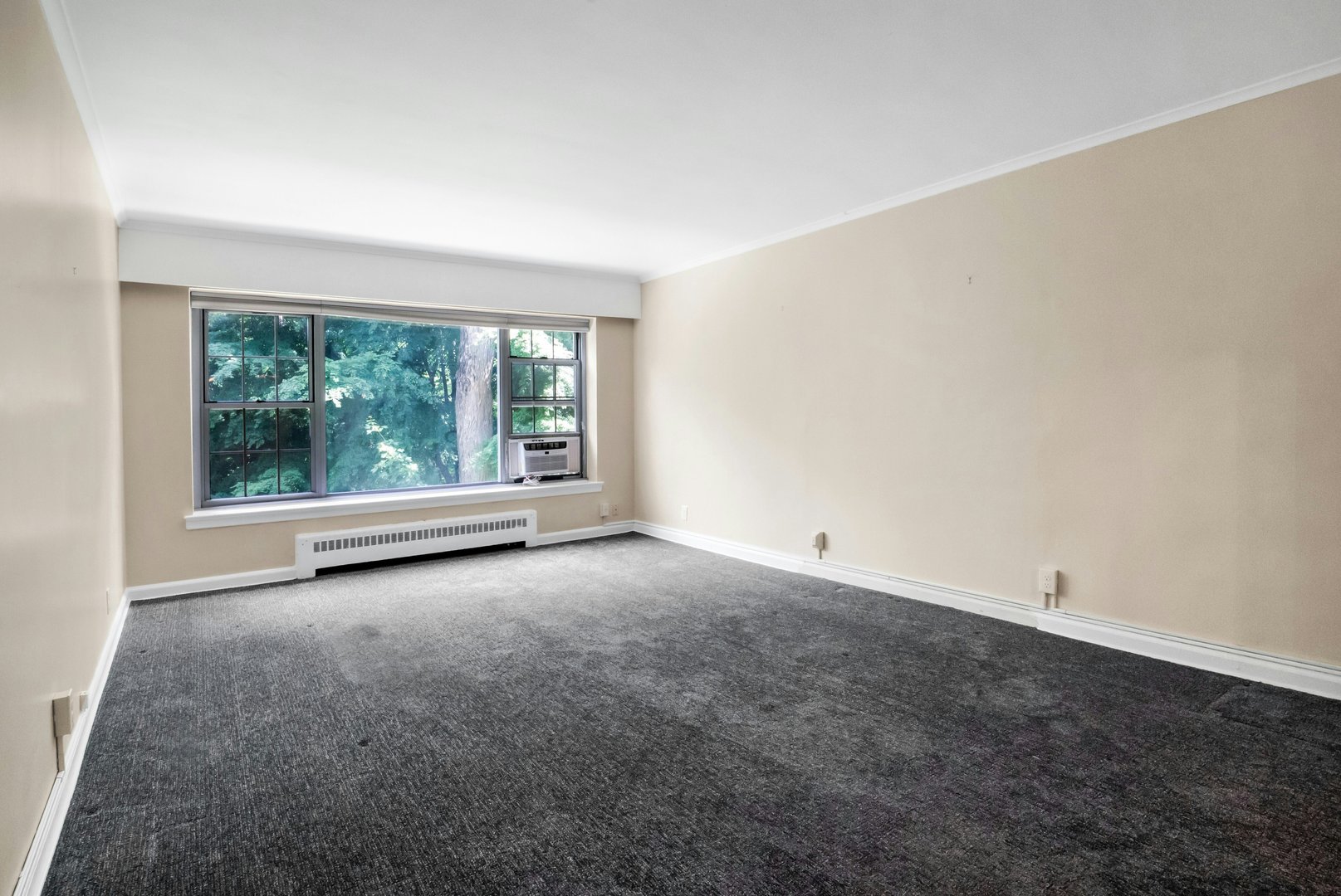 20 Alden Place  #1 Photo 9