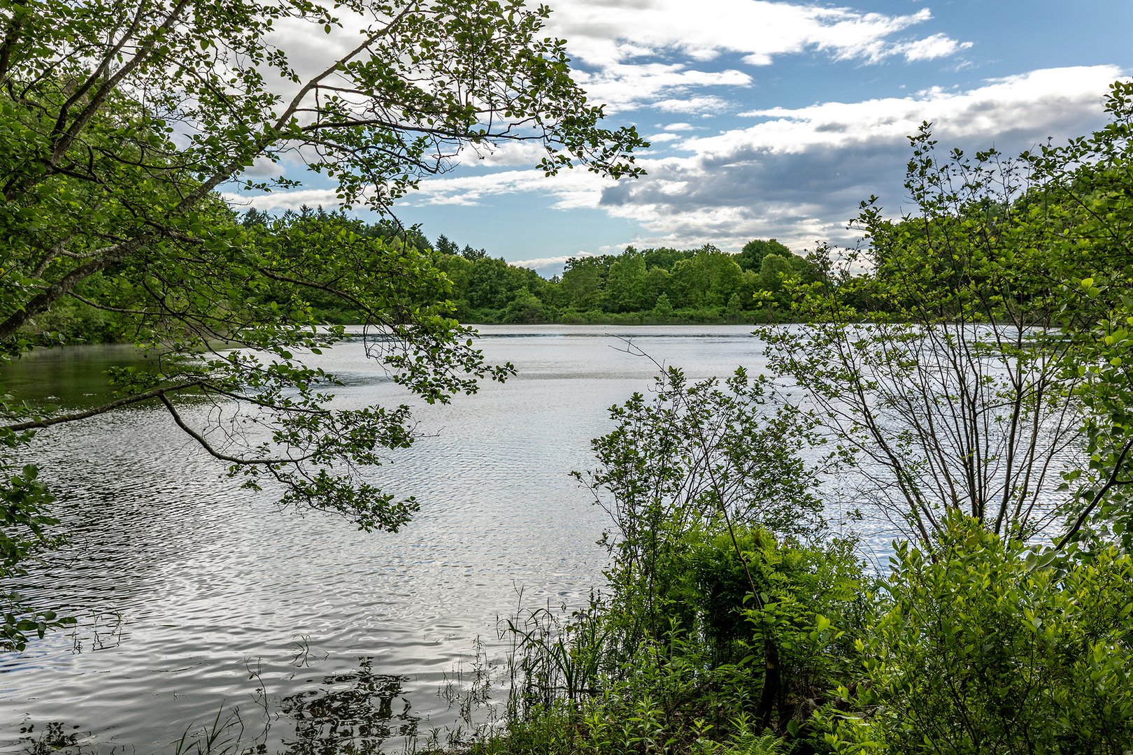 89 Reservoir Road Photo 15