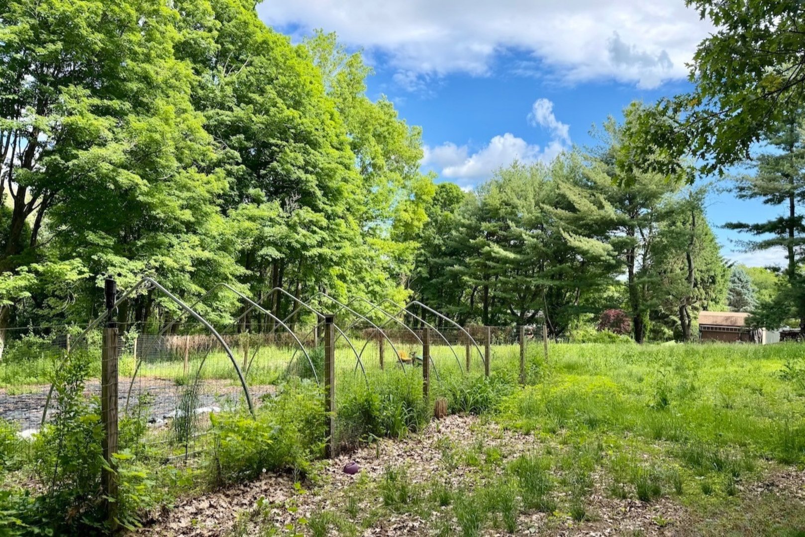 3 Riley Creek Trail Photo 30