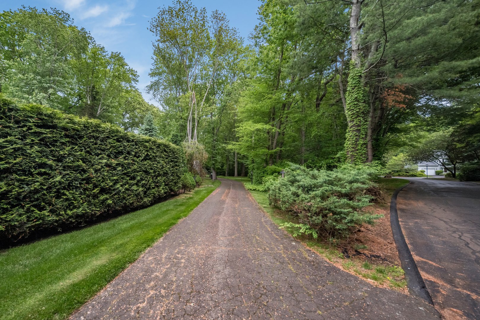 55 Island Avenue Photo 30