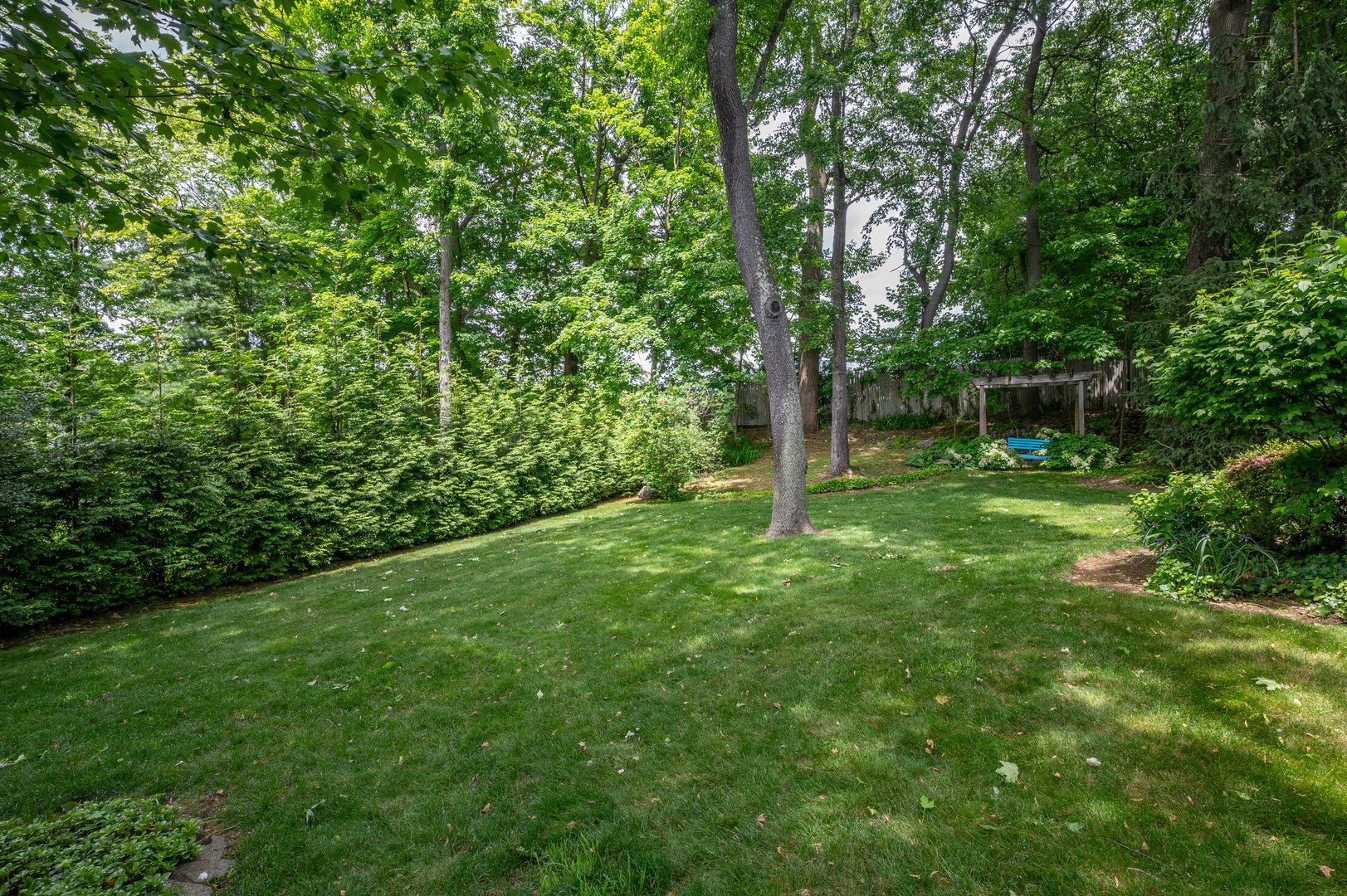 35 Mount Joy Avenue Photo 26