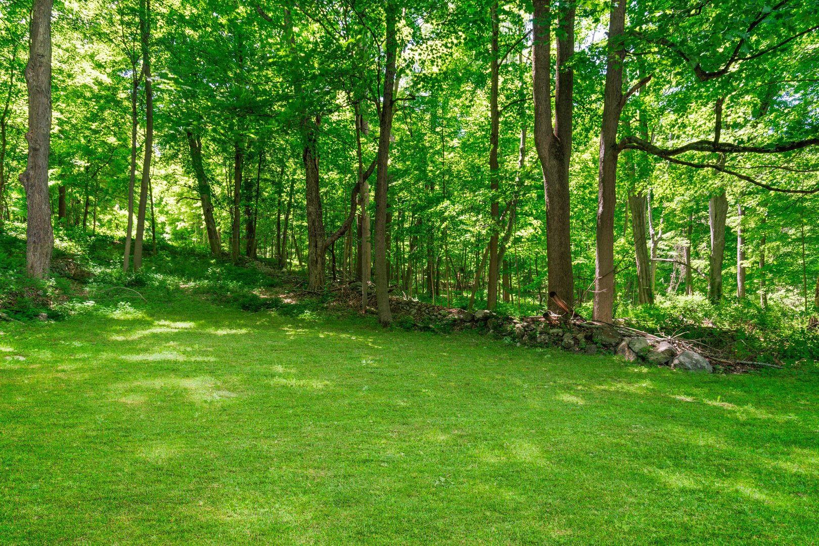 111 Philipse Brook Road Photo 14