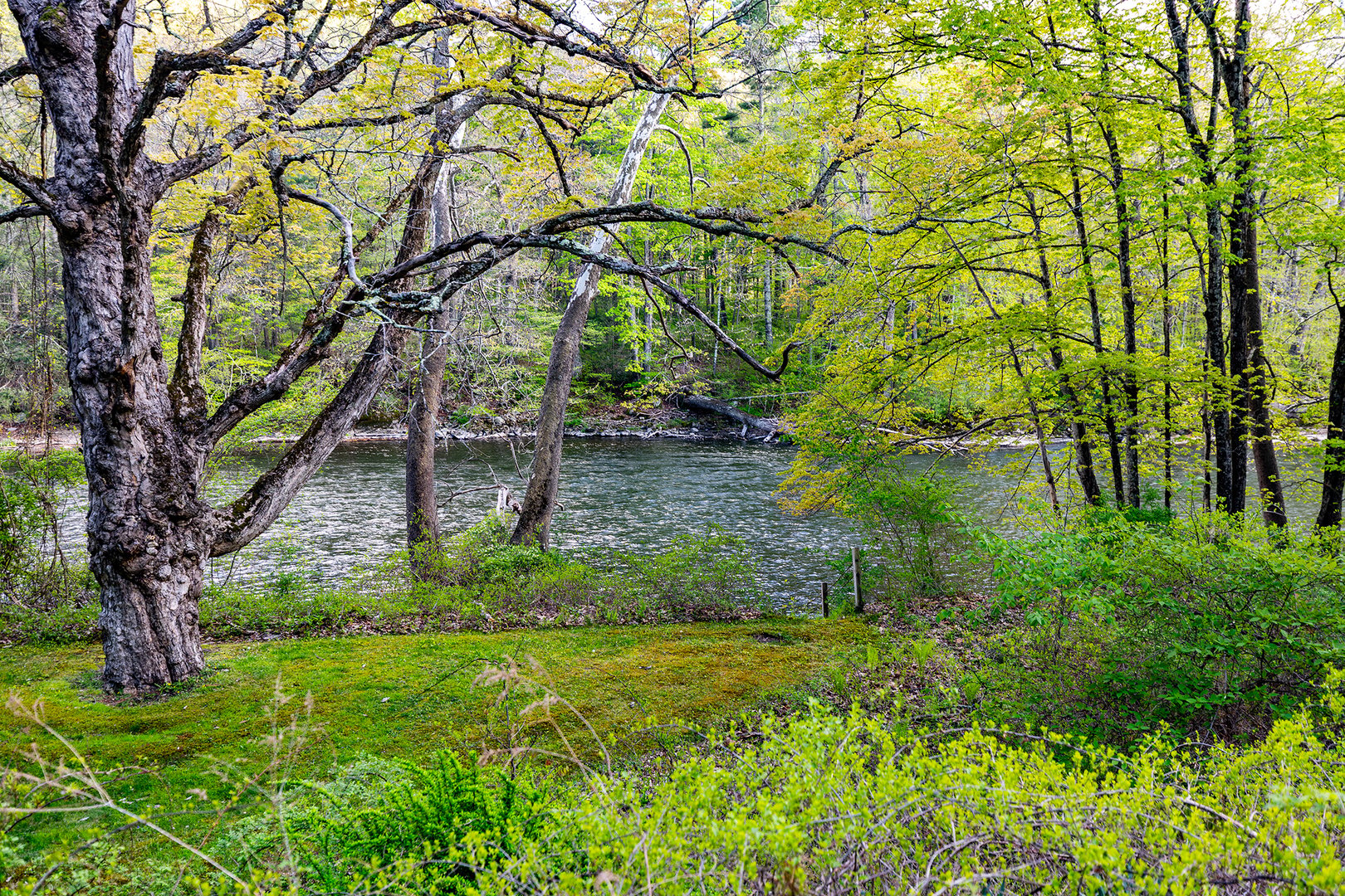 35 River Road Photo 5