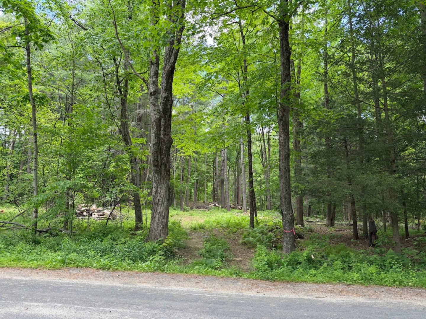 00 Great Hollow Road Photo 2