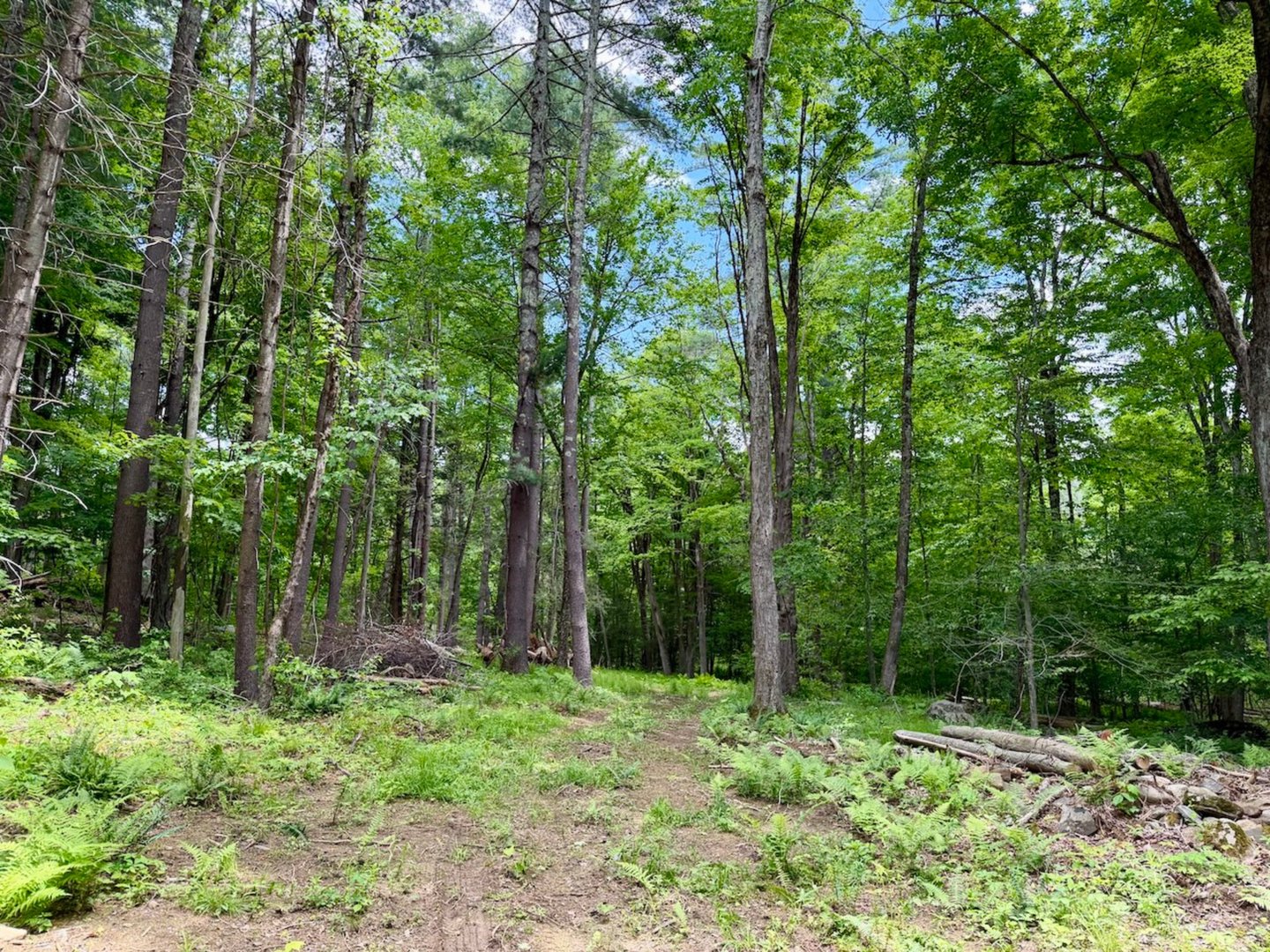00 Great Hollow Road Photo 3