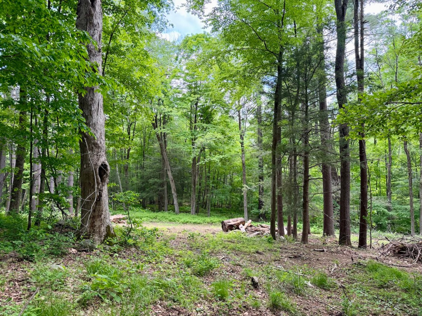 00 Great Hollow Road Photo 7