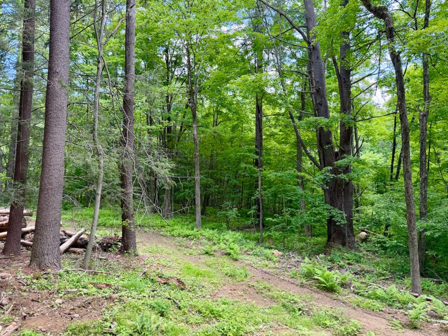 00 Great Hollow Road Photo 8