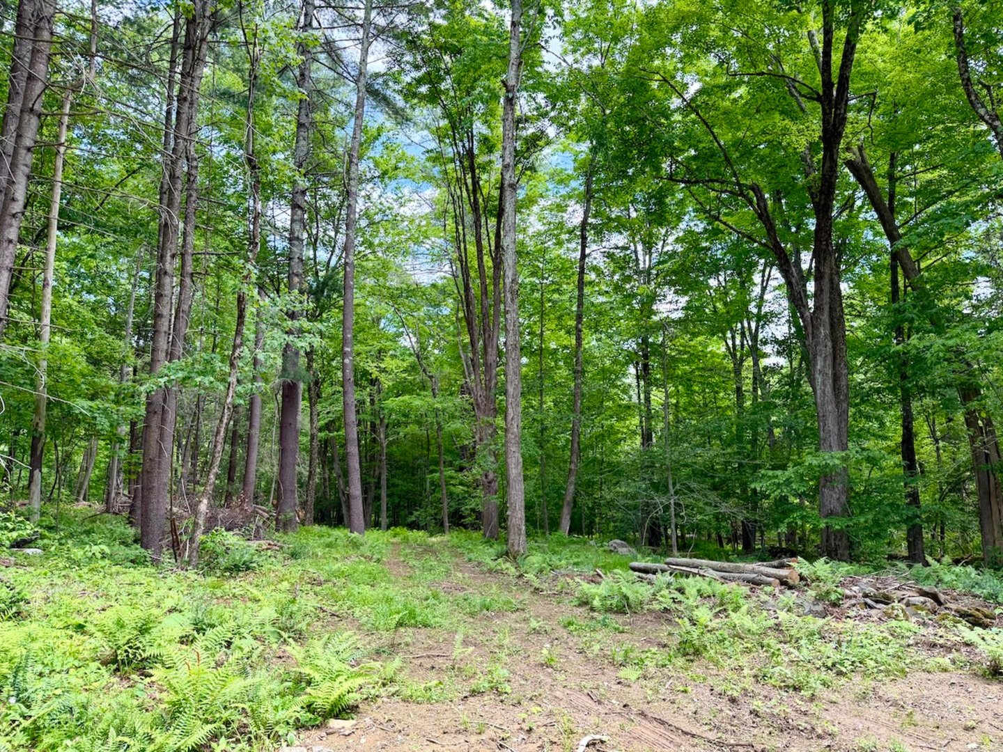 00 Great Hollow Road Photo 9