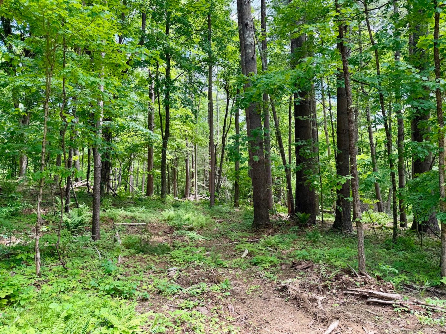 00 Great Hollow Road Photo 10