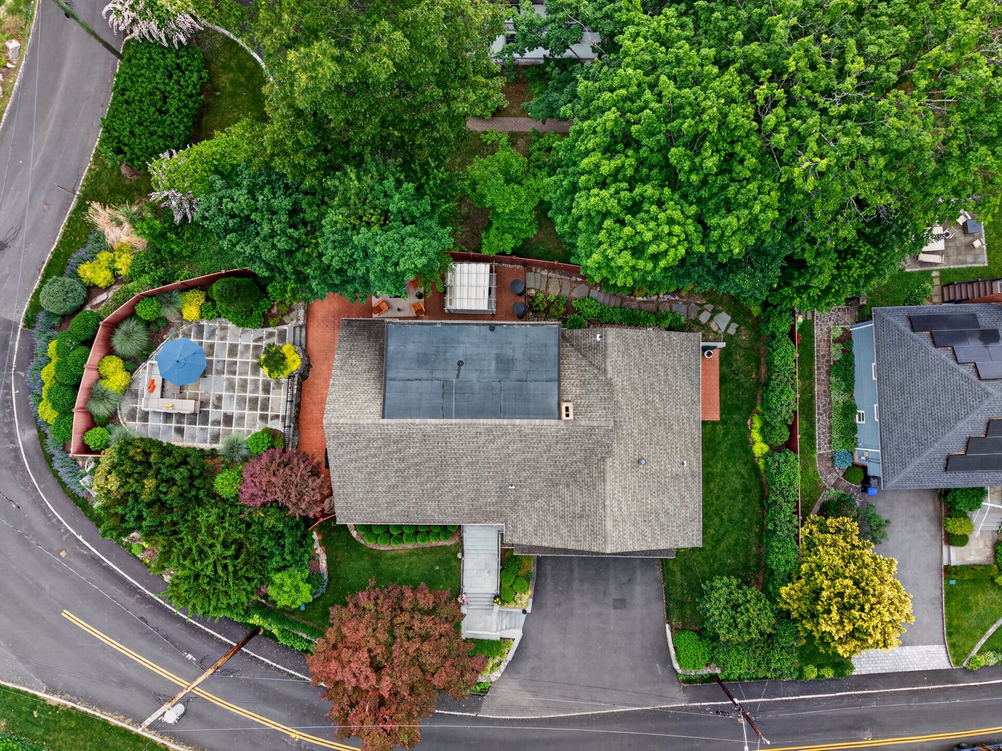 14 Caterson Terrace Photo 43