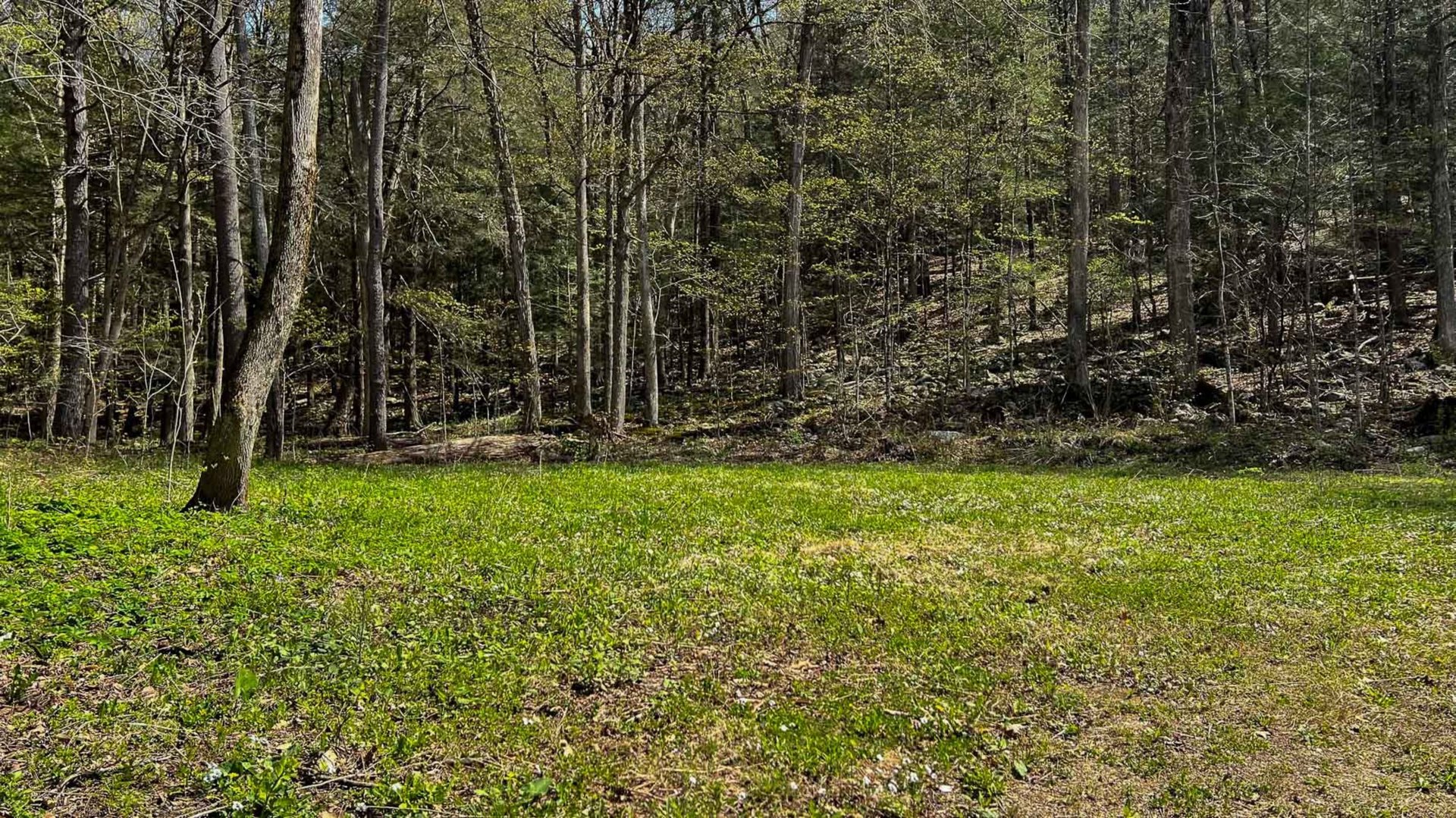 0 River Rd Photo 6