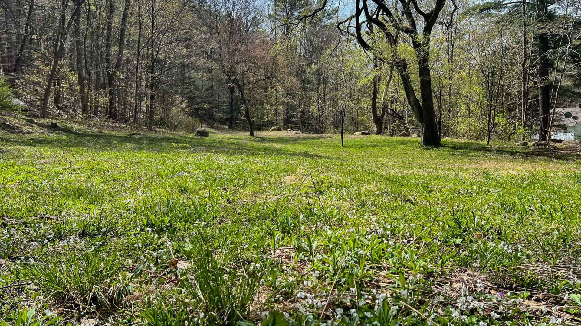 0 River Rd Photo 7