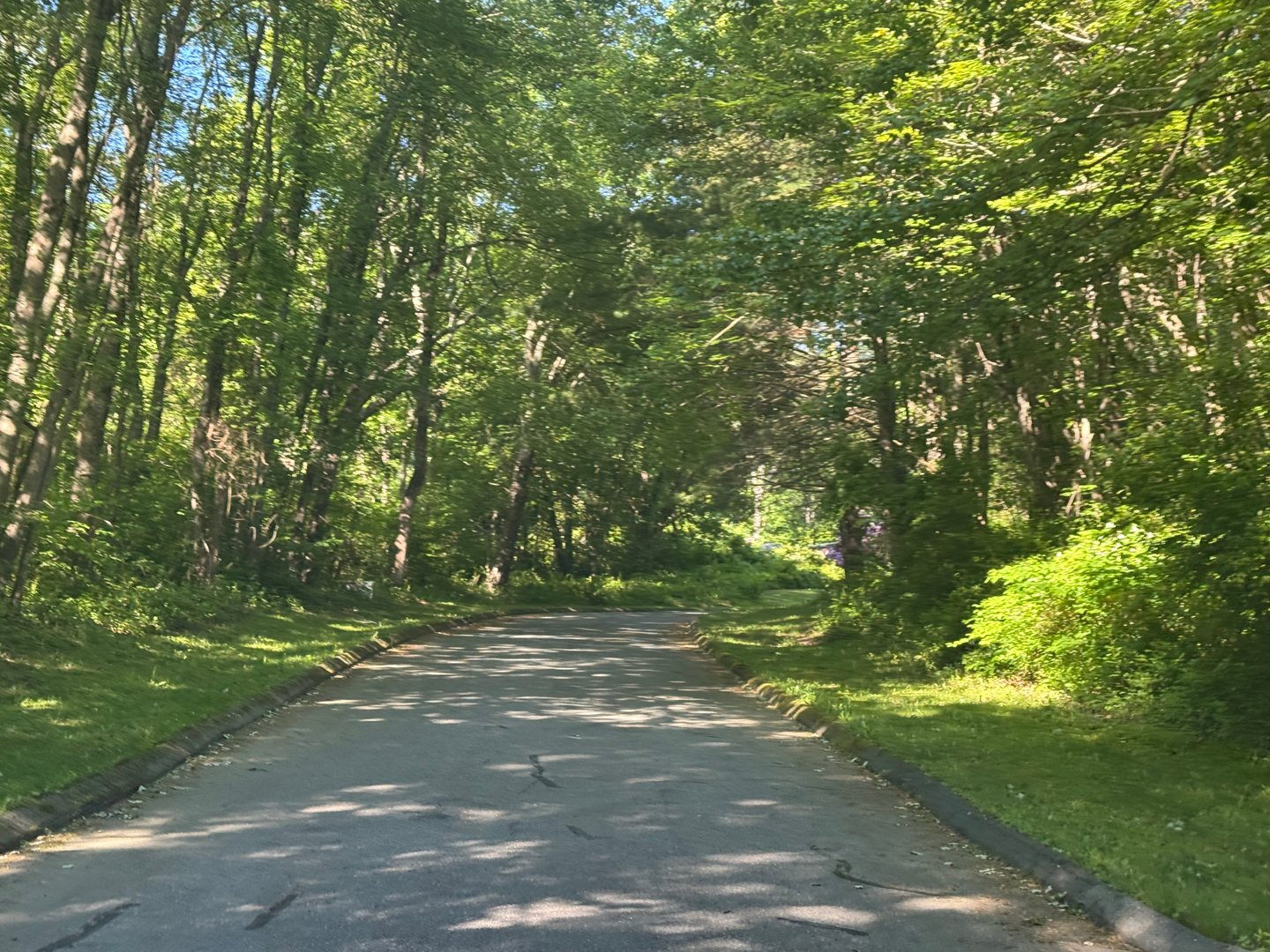 Goose Hill Road Photo 3