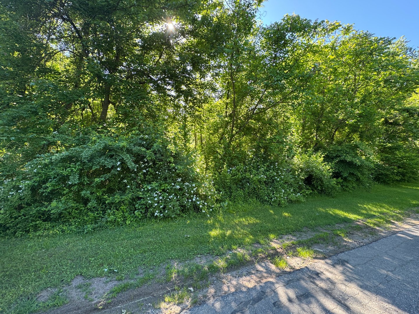 Goose Hill Road Photo 1