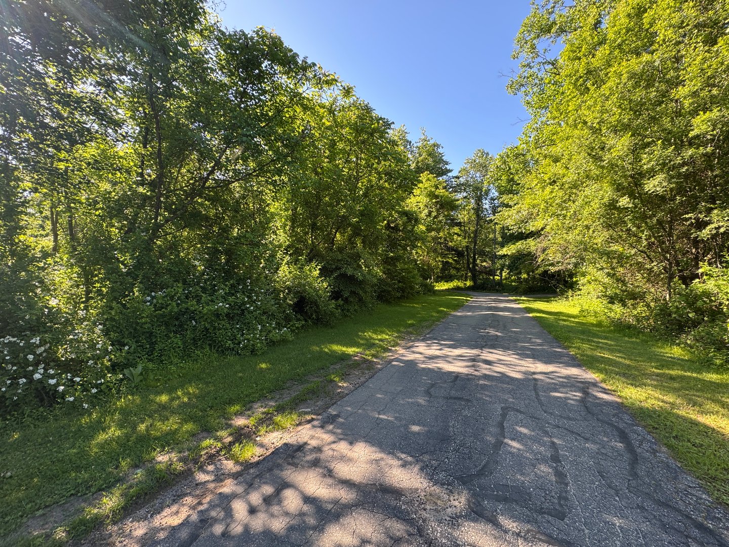 Goose Hill Road Photo 5