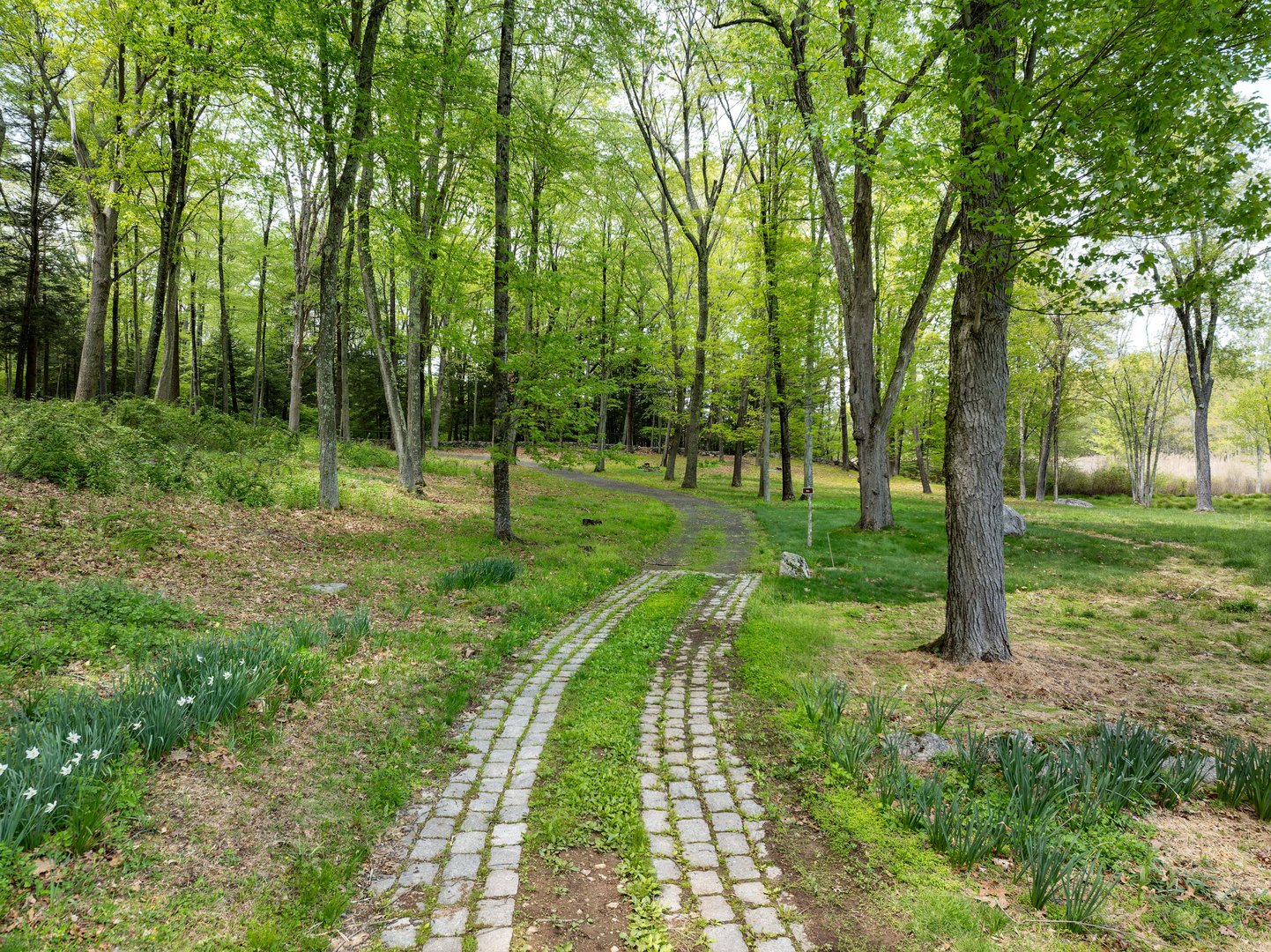 155 Long Ridge Road Photo 11