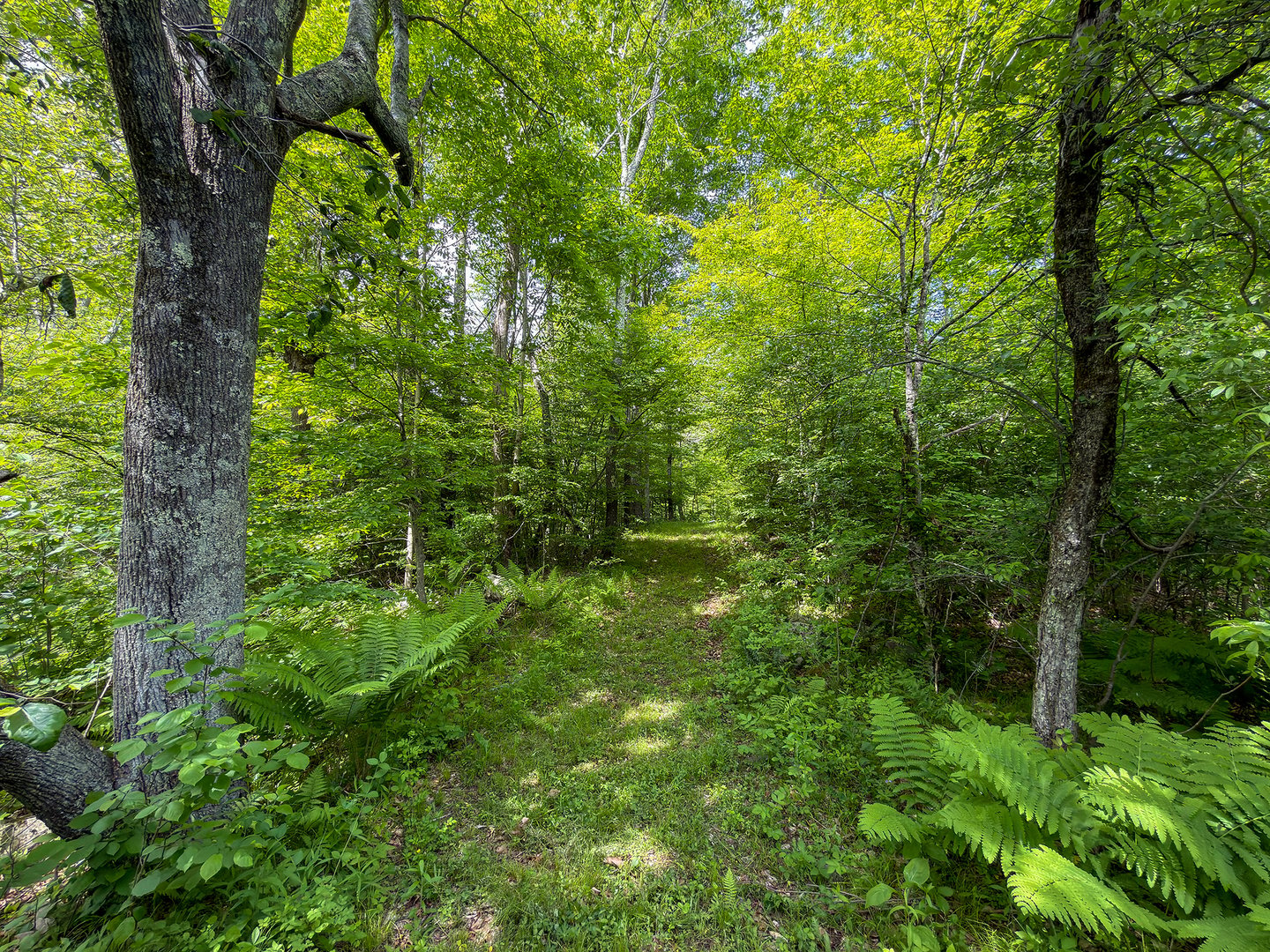 44 Keeler Road Photo 3
