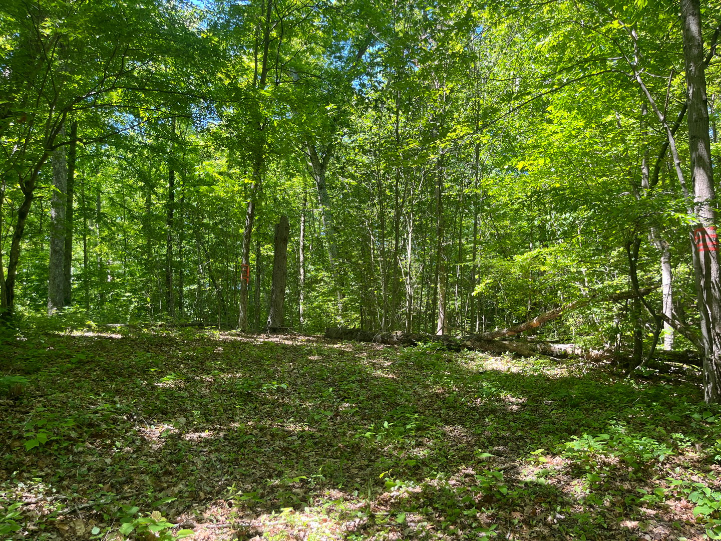 44 Keeler Road Photo 9