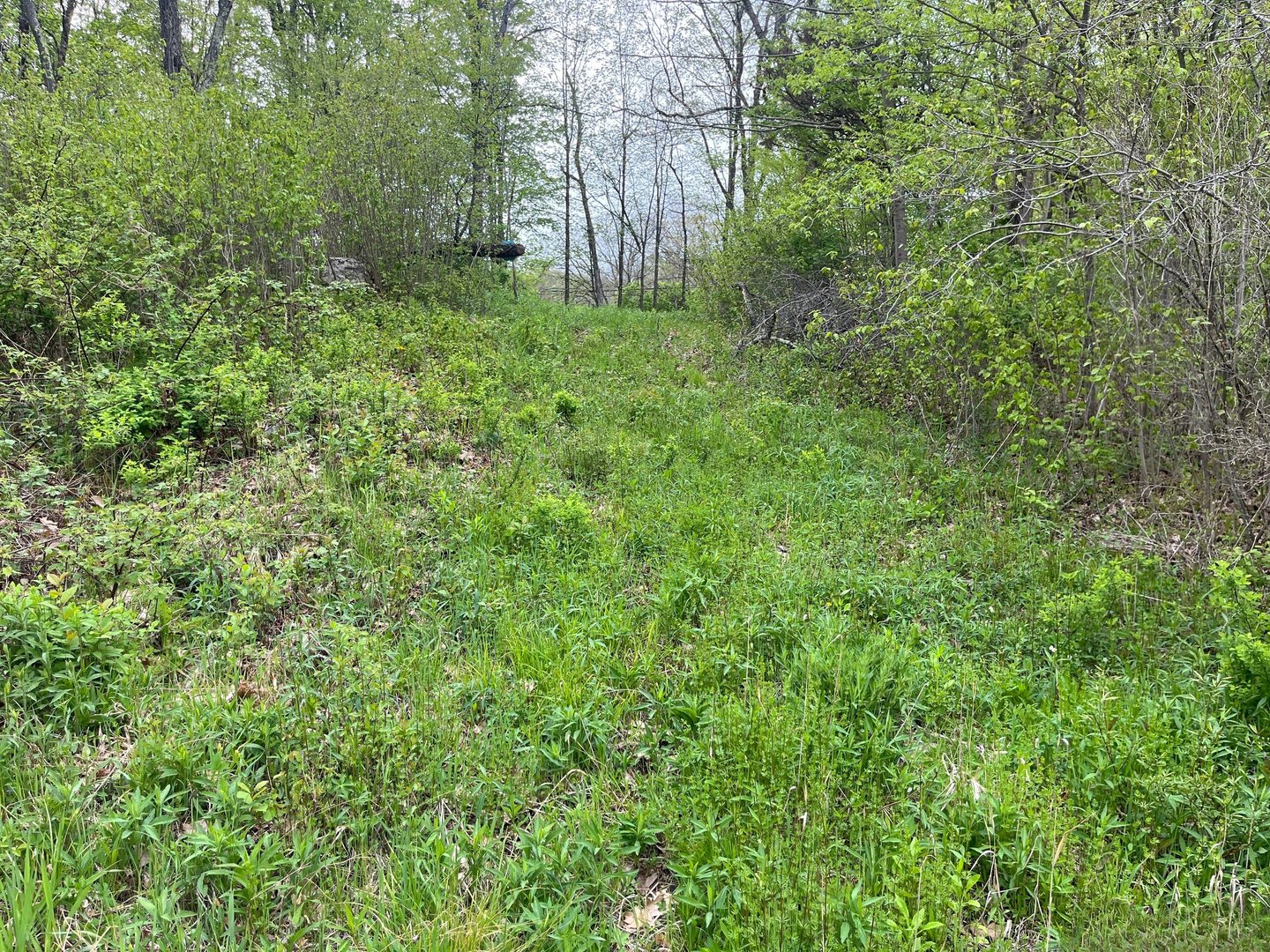 44 Keeler Road Photo 10