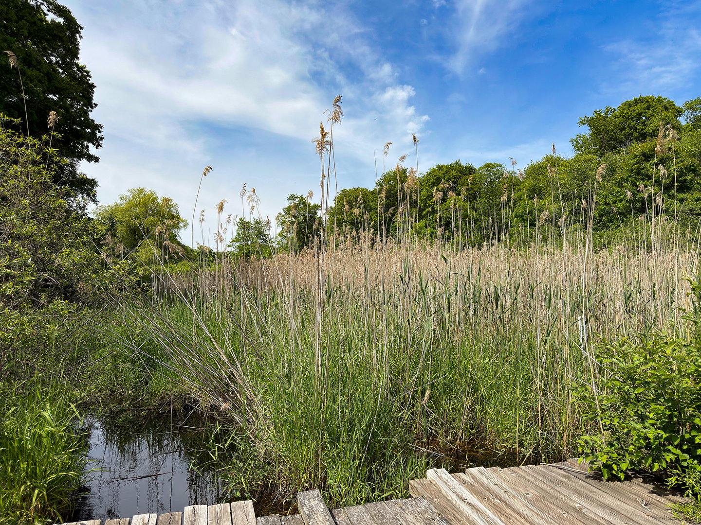 44 Keeler Road Photo 11