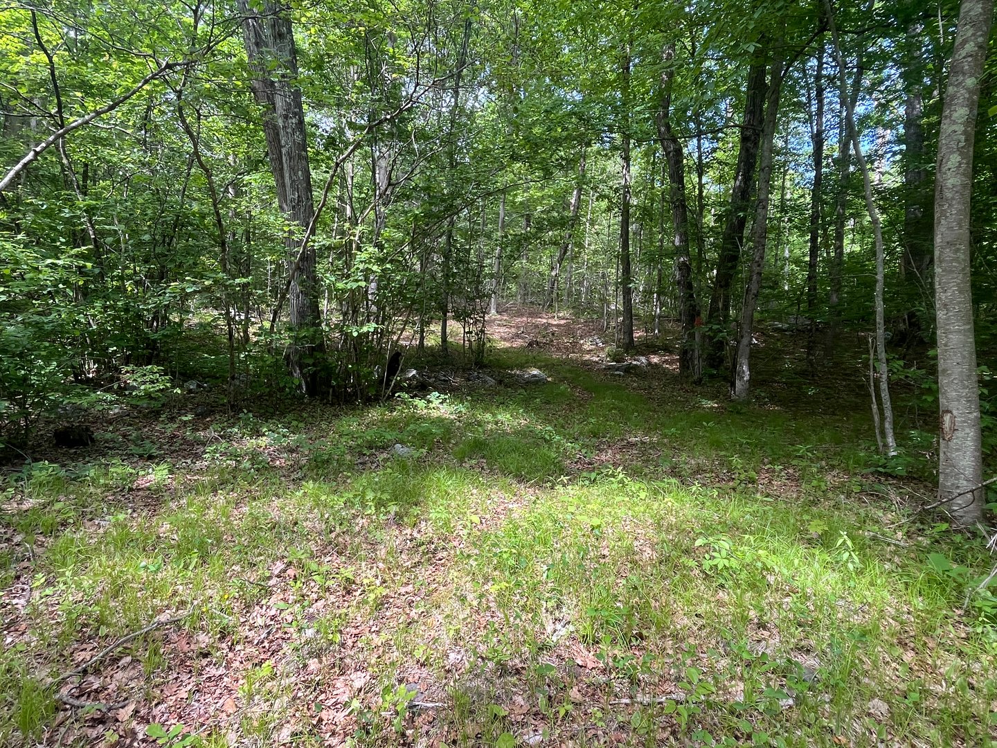 44 Keeler Road Photo 15
