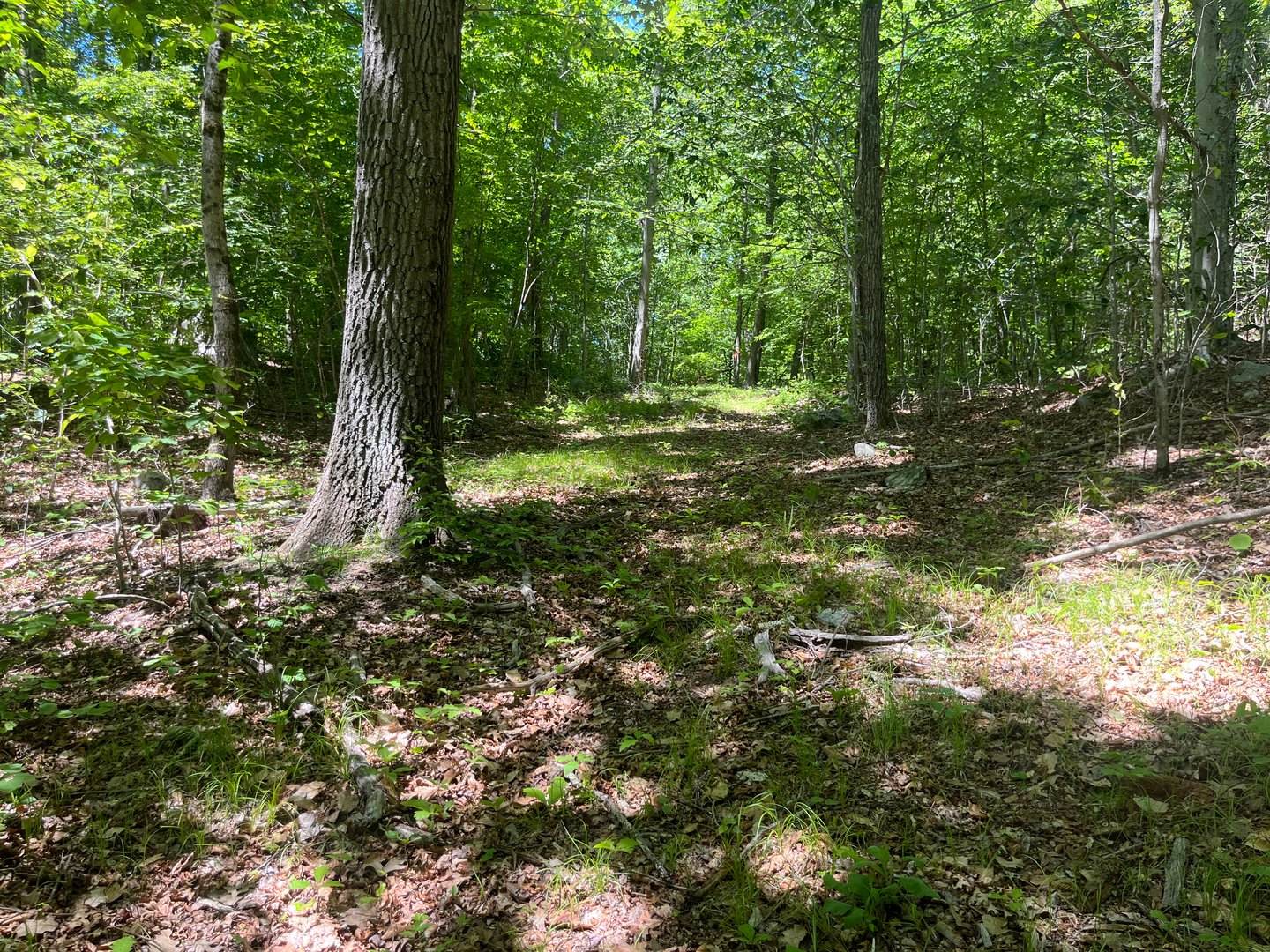 44 Keeler Road Photo 16
