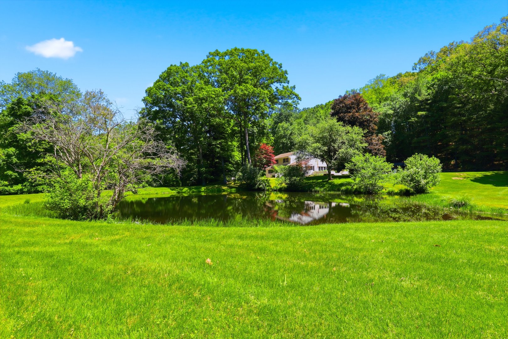 13 Schildbach Road Photo 39