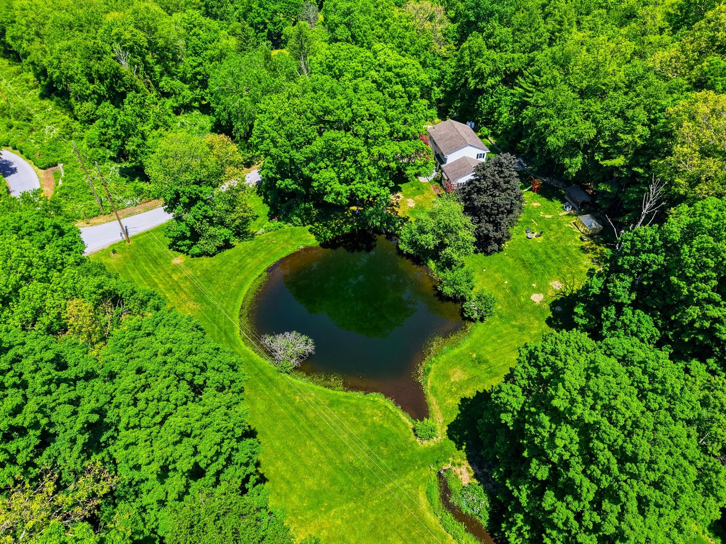 13 Schildbach Road Photo 37