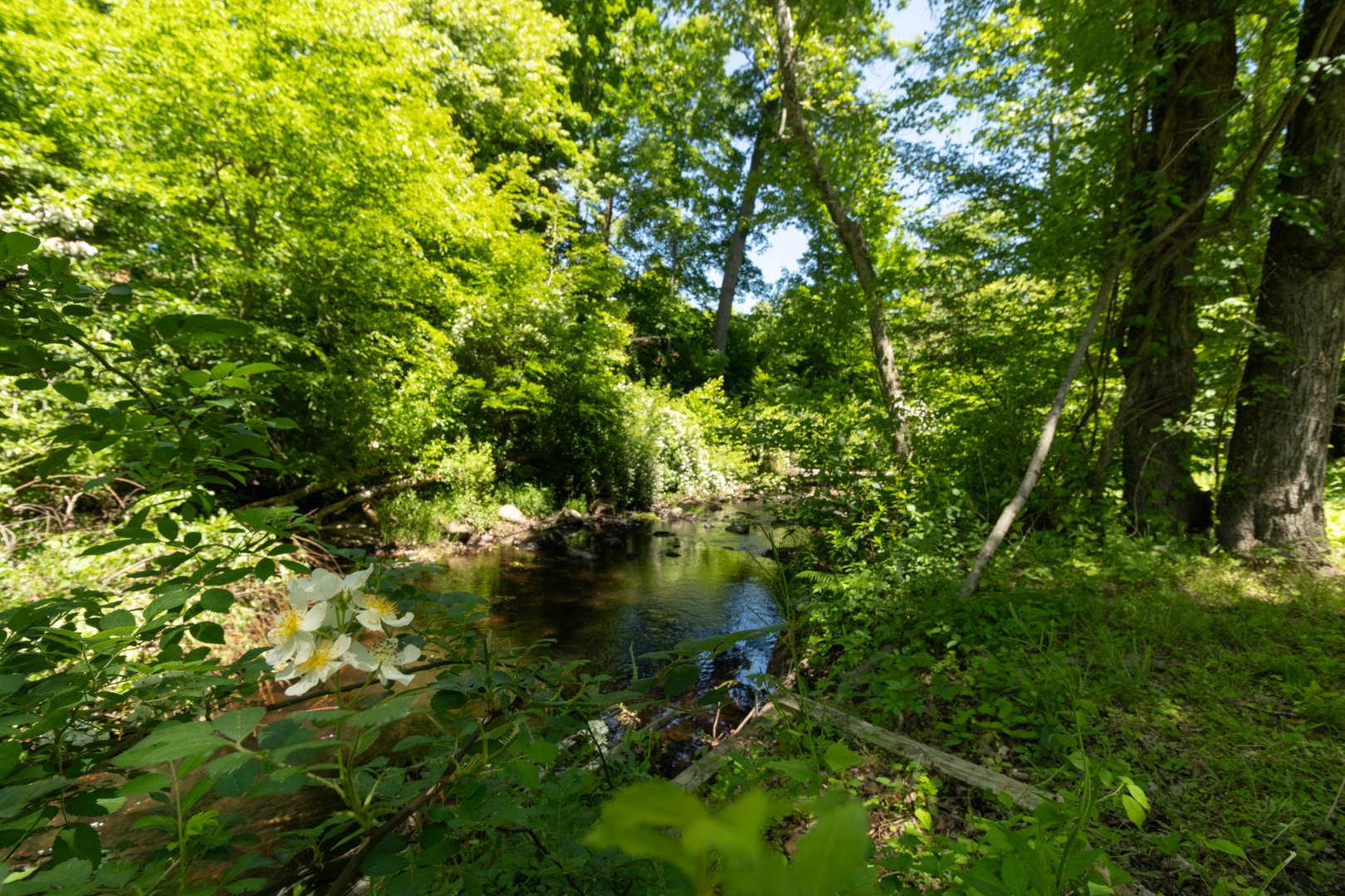 254 Park Road Photo 33
