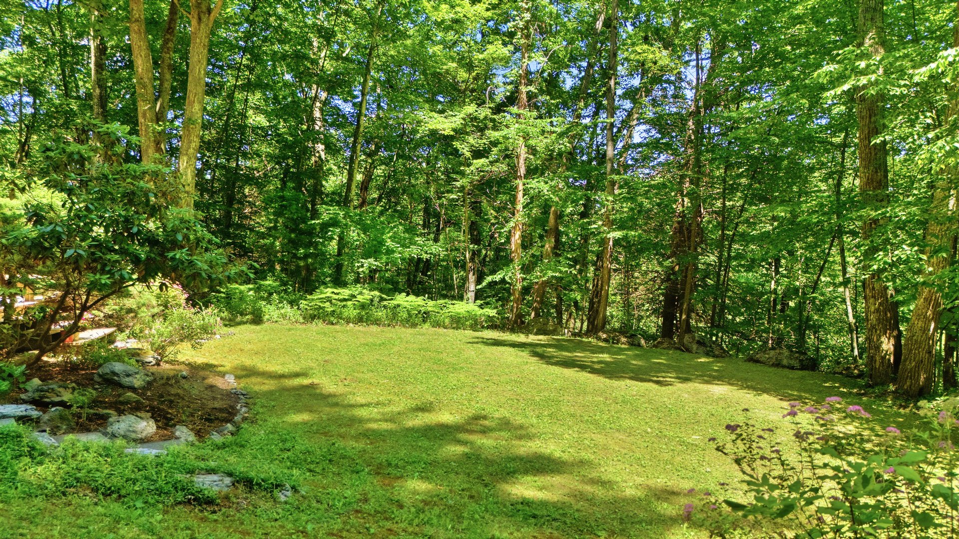 236 Hillsdale Rd Photo 36