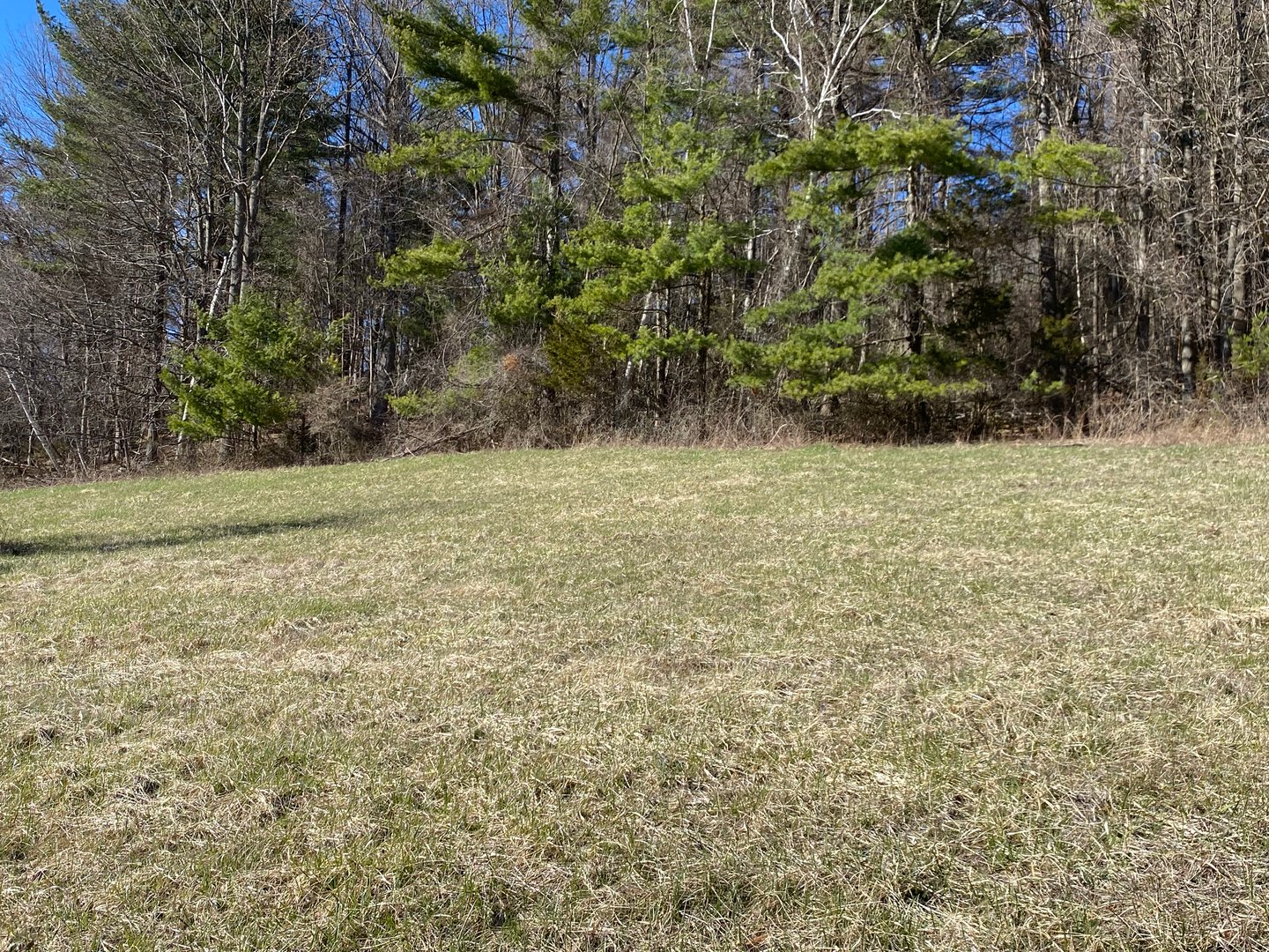 198-3 Beebe Hill Road Photo 5