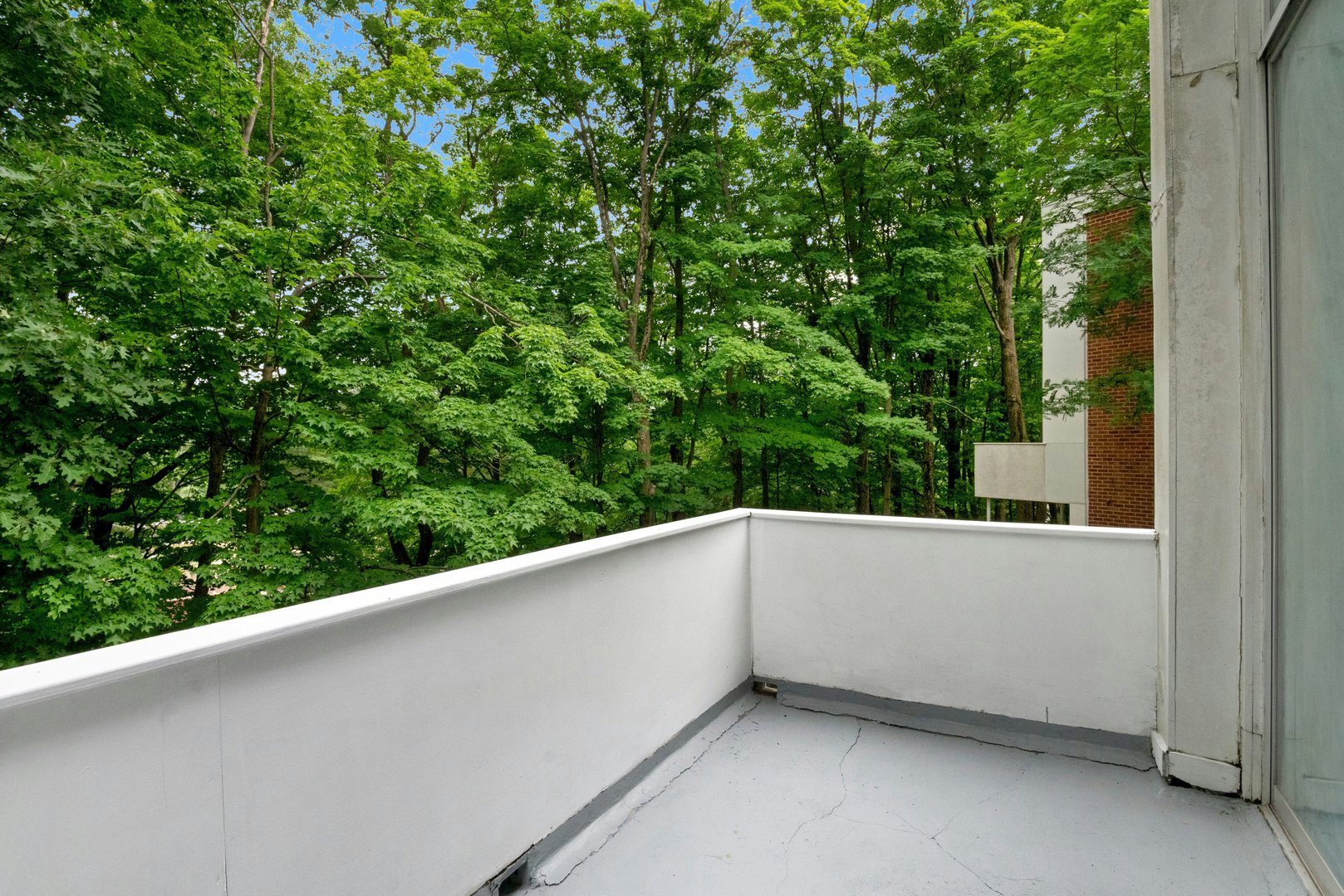 1118 Colony Drive Photo 13
