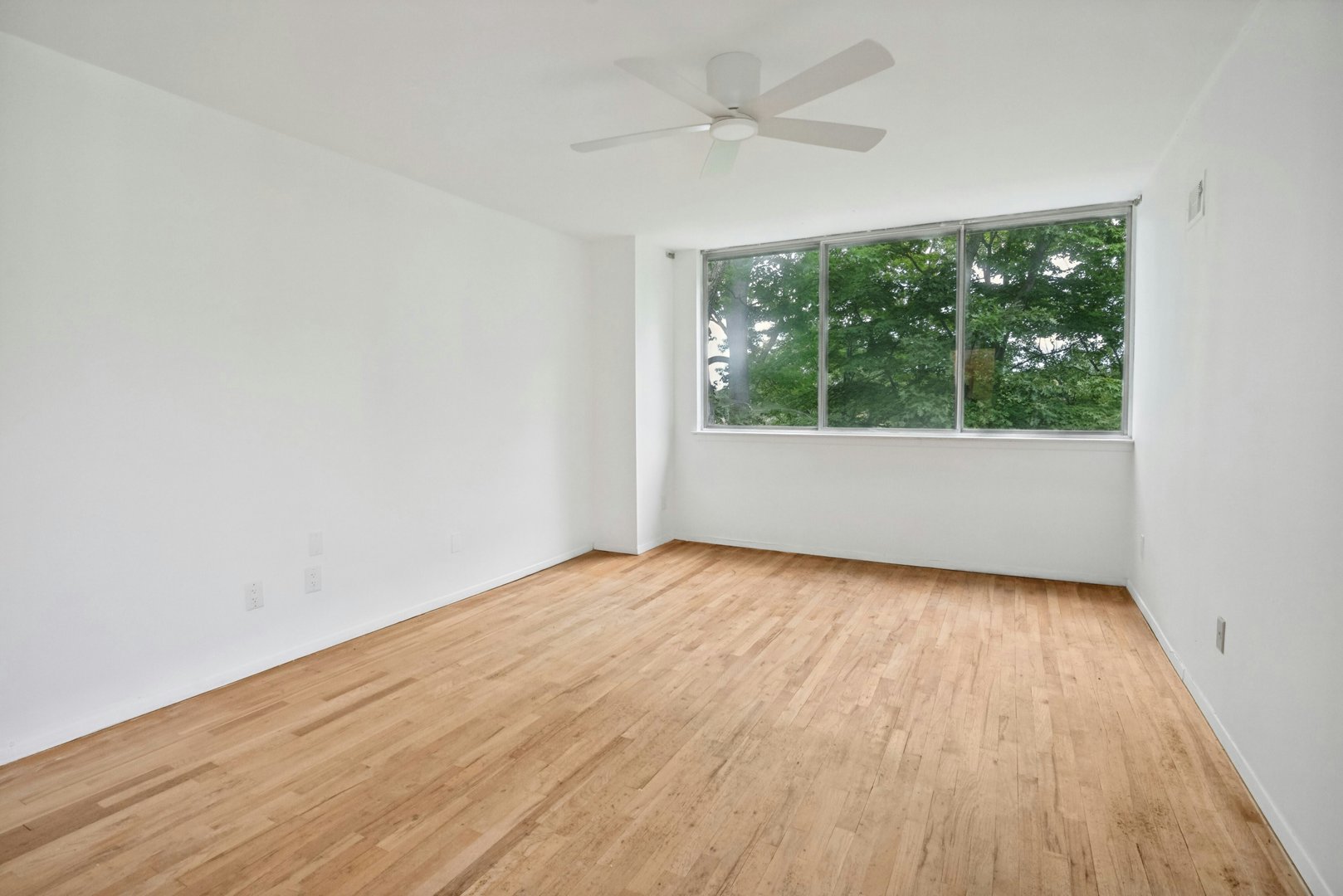 1118 Colony Drive Photo 15