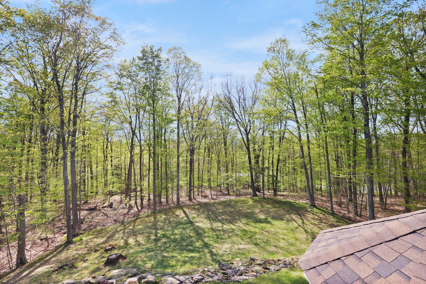 97 Elmore Dr Photo 28