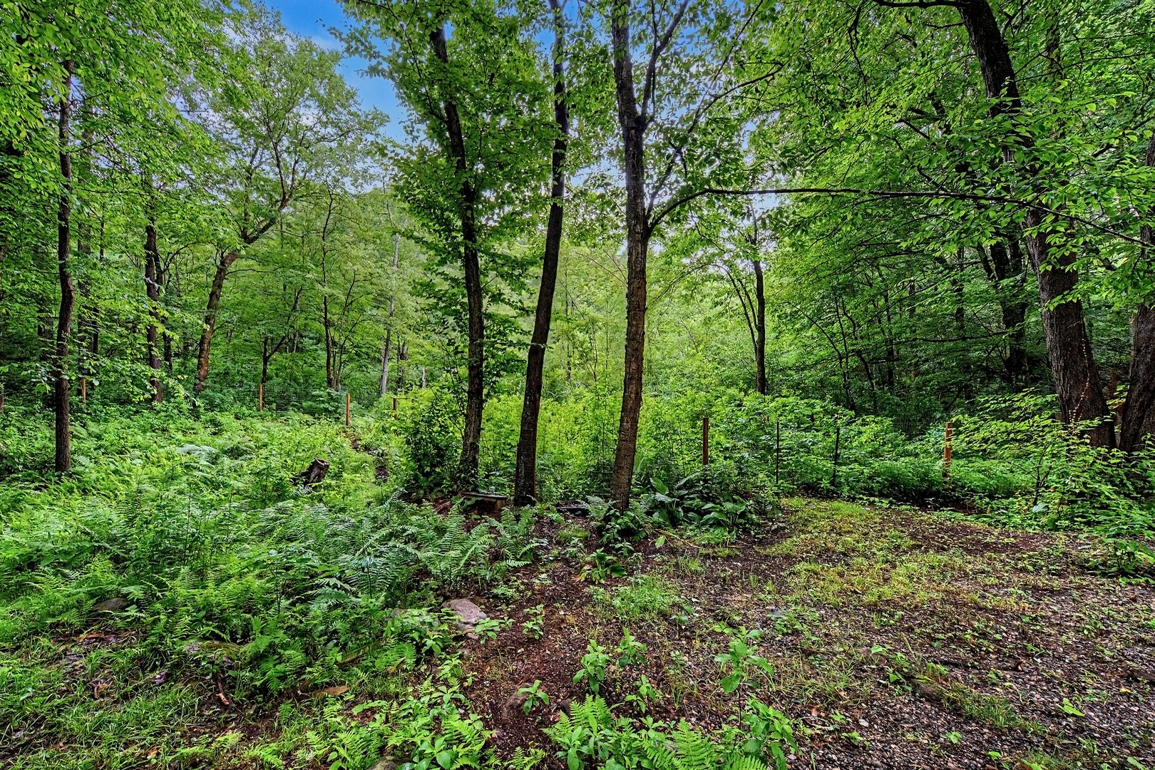 216 Reservoir Road Photo 9