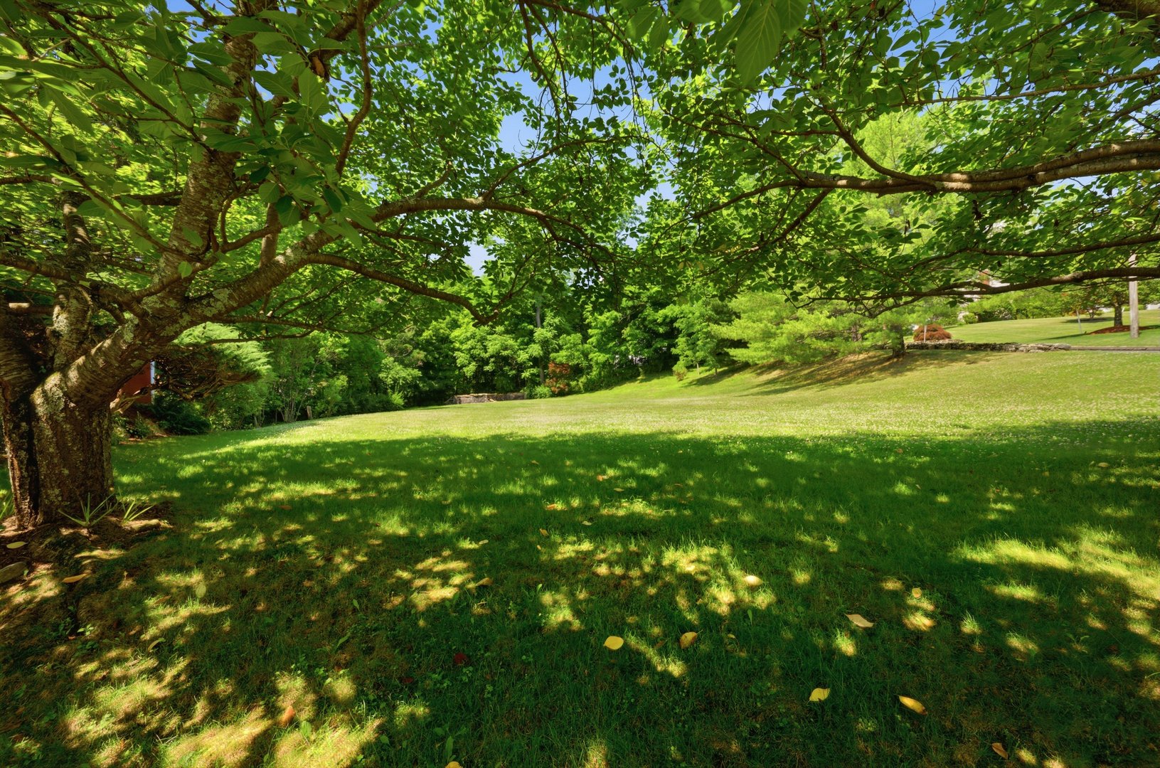 36 Middle River Road Photo 25