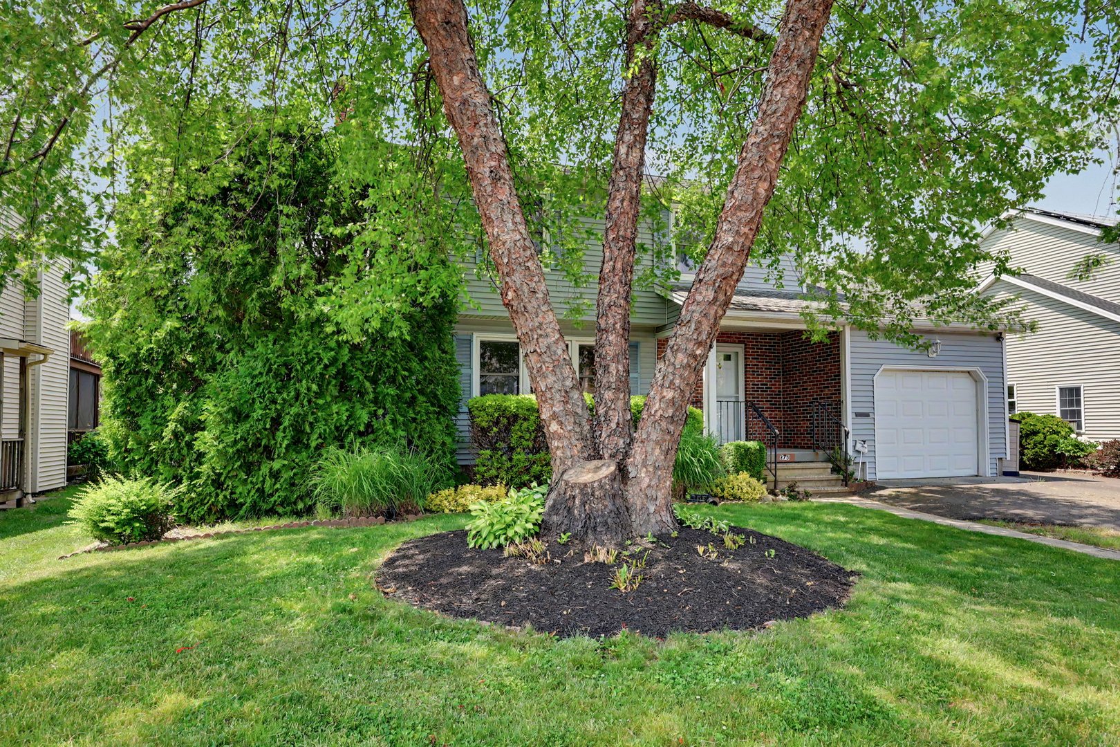 275 York Street Photo 3