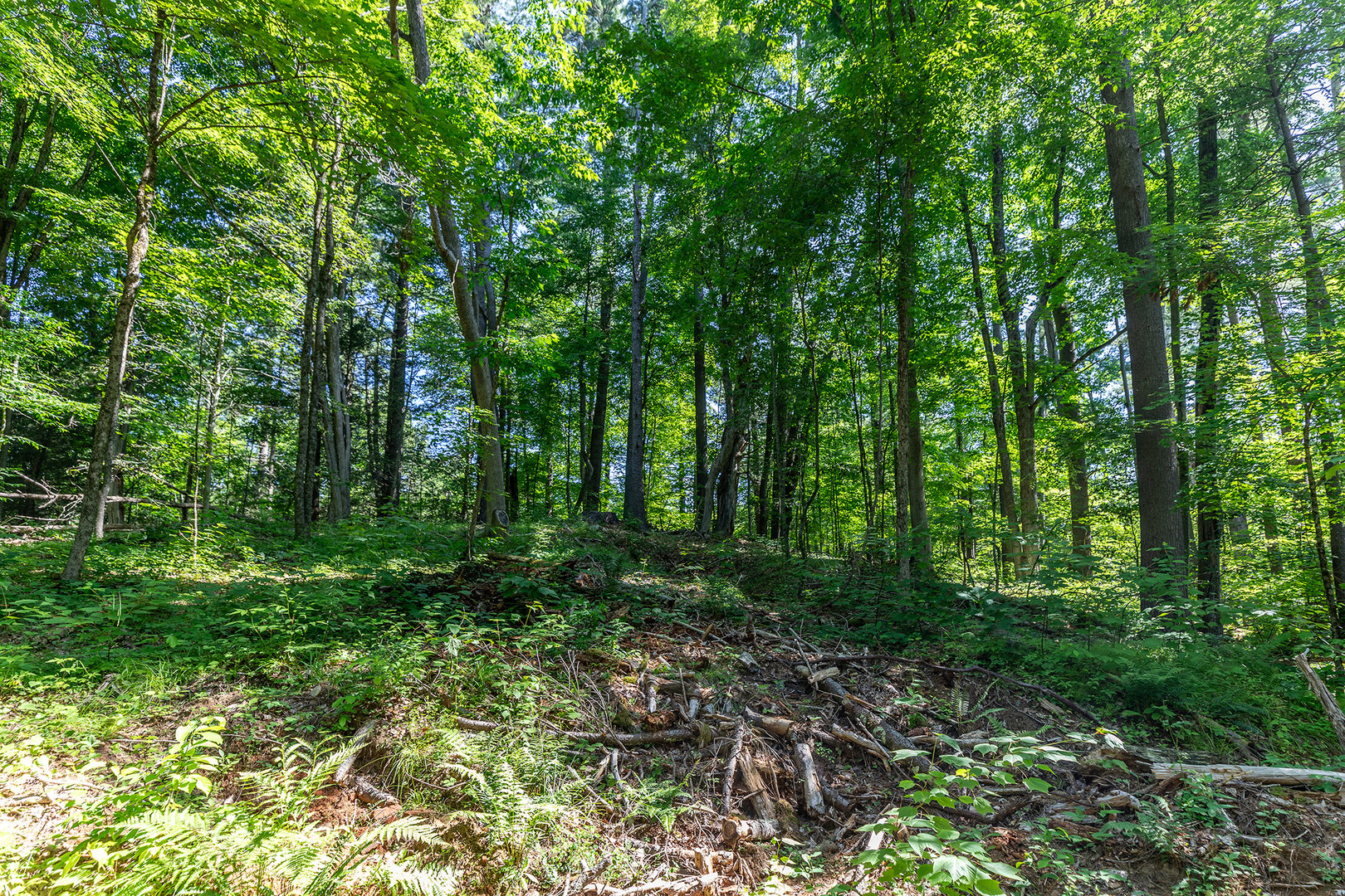 00 Great Hollow Road Photo 7