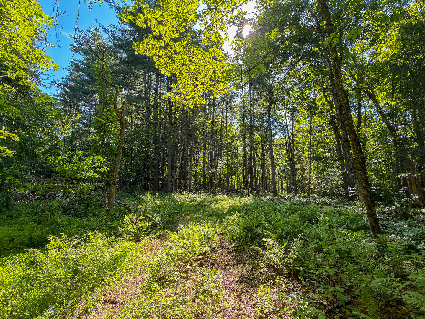 00 Great Hollow Road Photo 9