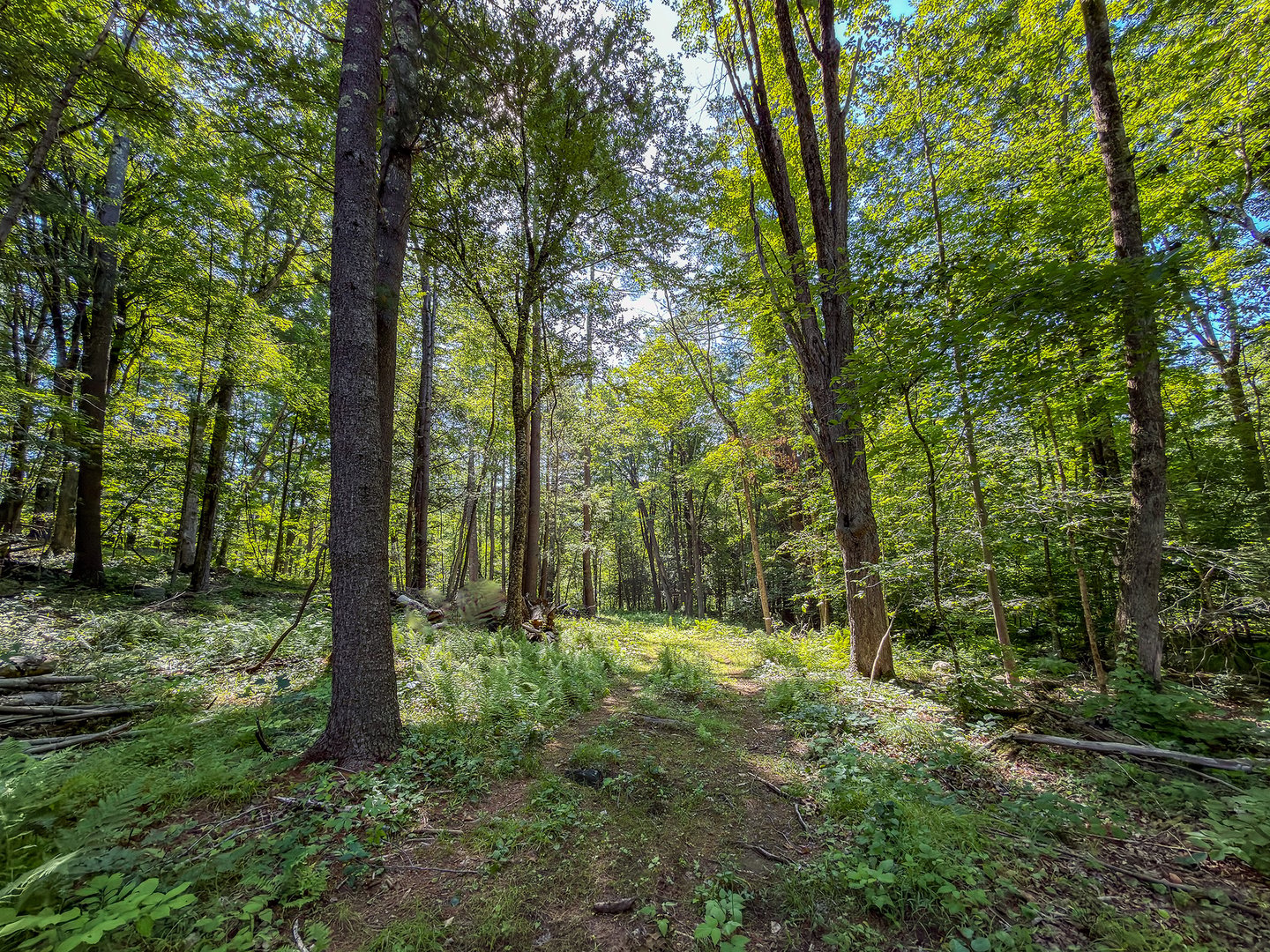 00 Great Hollow Road Photo 10