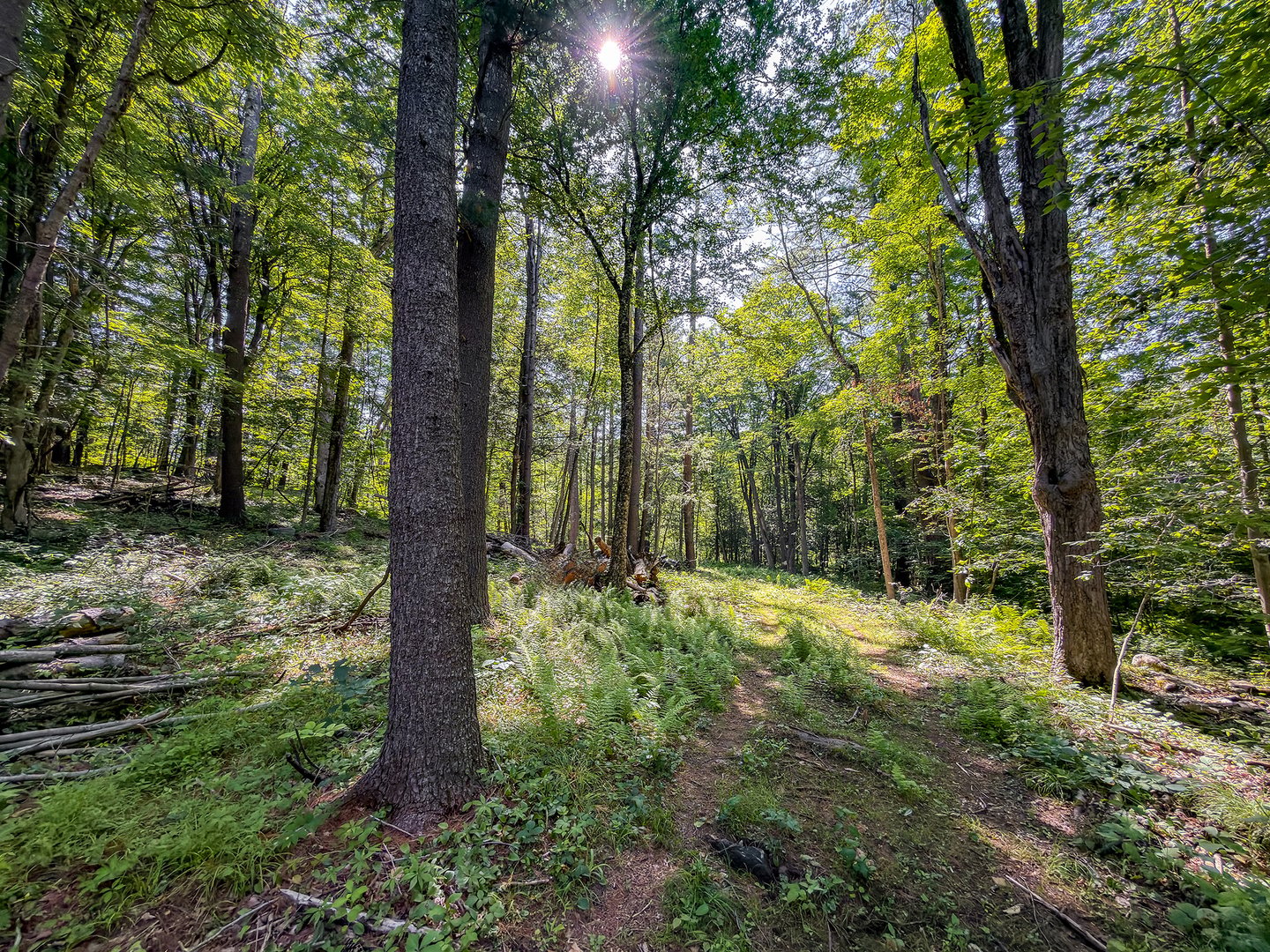 00 Great Hollow Road Photo 11