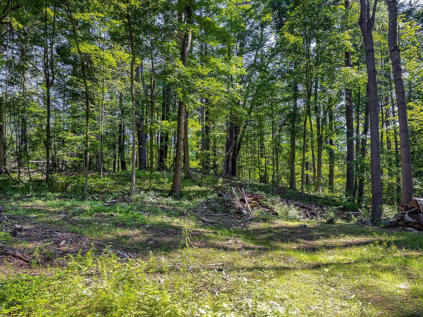 00 Great Hollow Road Photo 12
