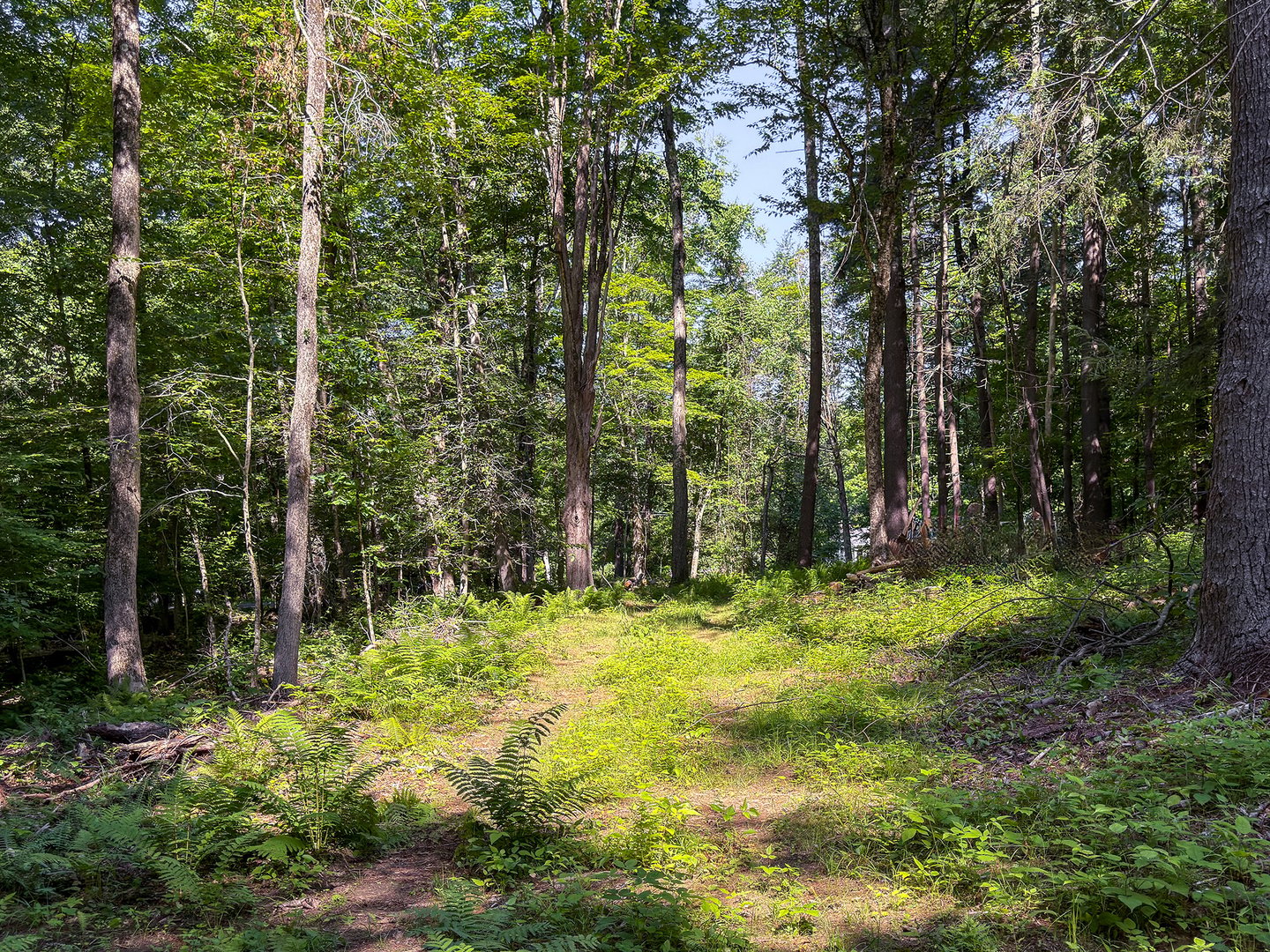 00 Great Hollow Road Photo 13