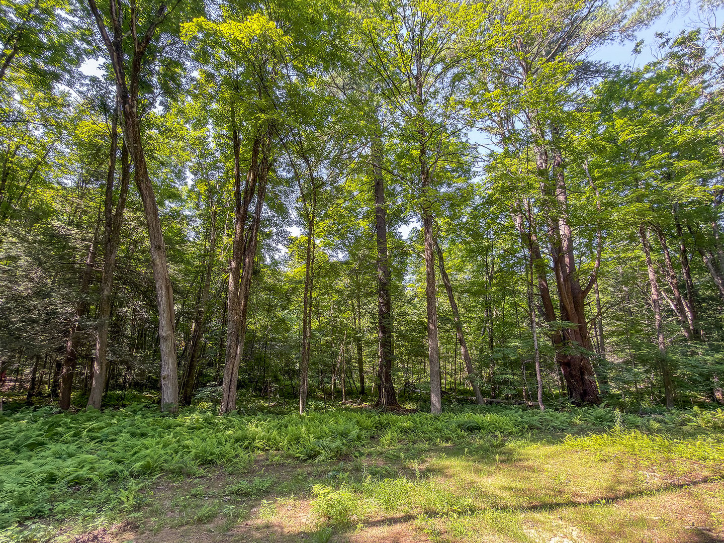 00 Great Hollow Road Photo 14