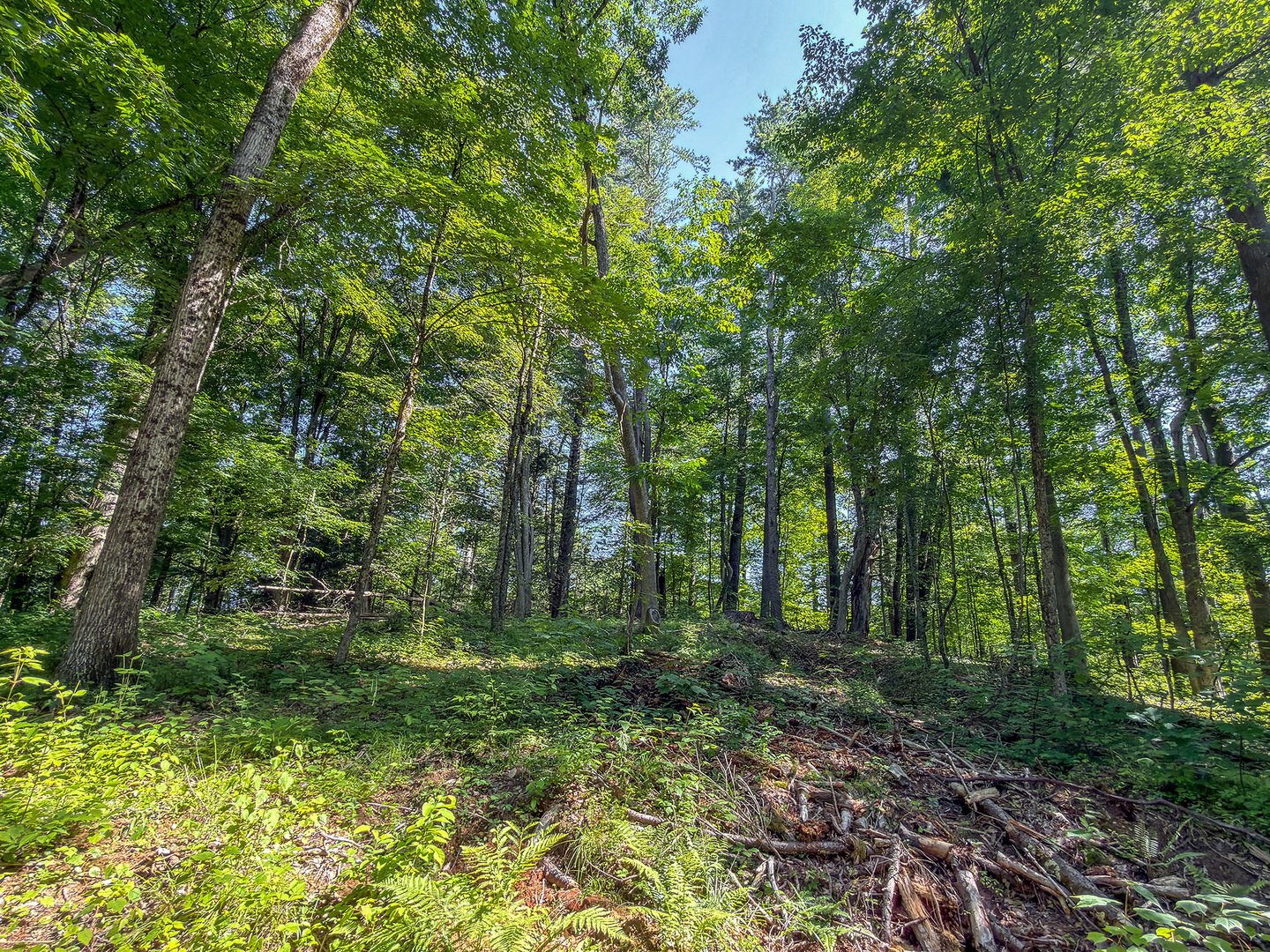 00 Great Hollow Road Photo 15