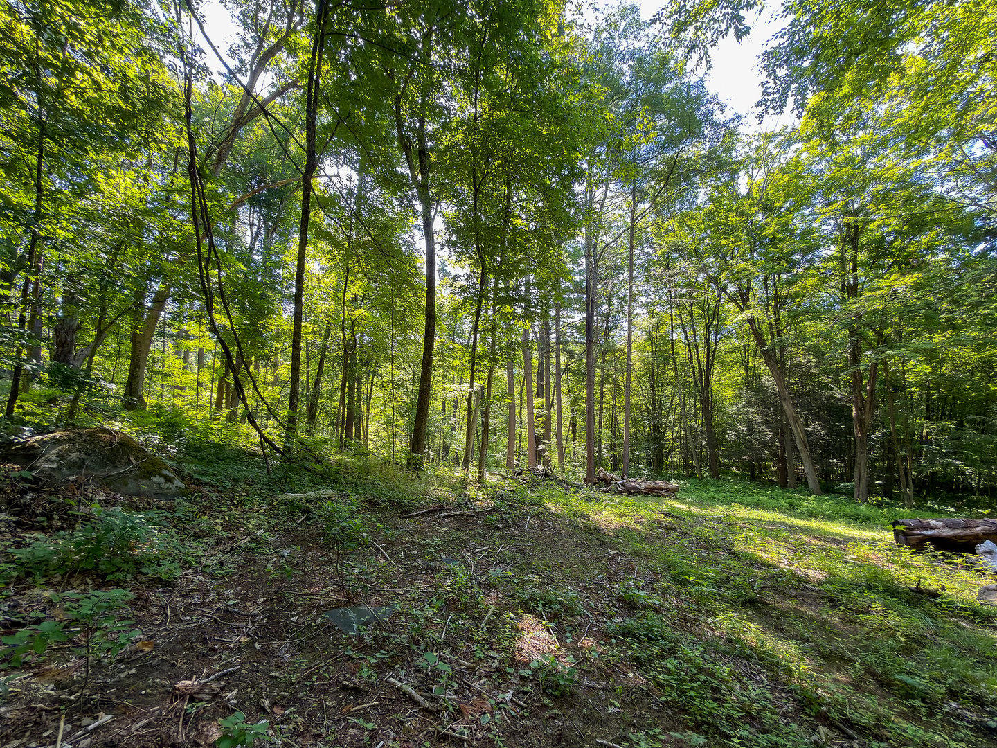 00 Great Hollow Road Photo 16