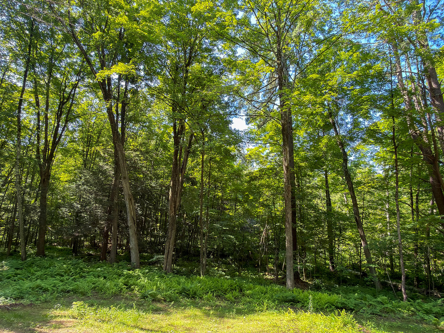 00 Great Hollow Road Photo 17