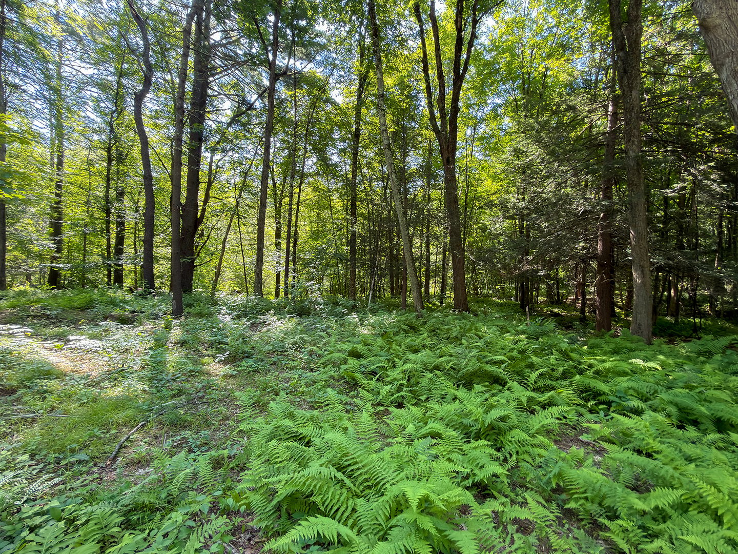 00 Great Hollow Road Photo 19