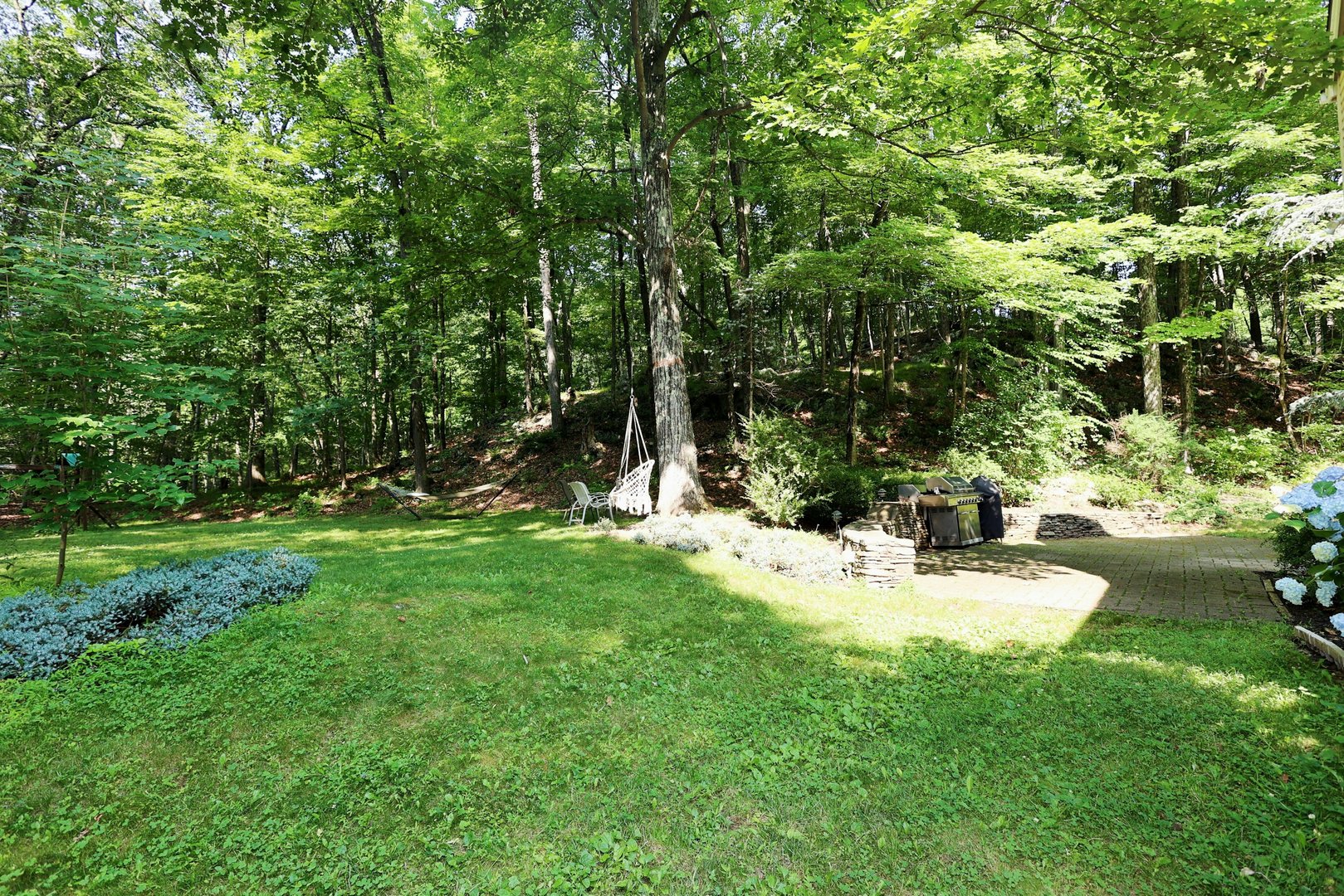 123a Peaceable Street Photo 3